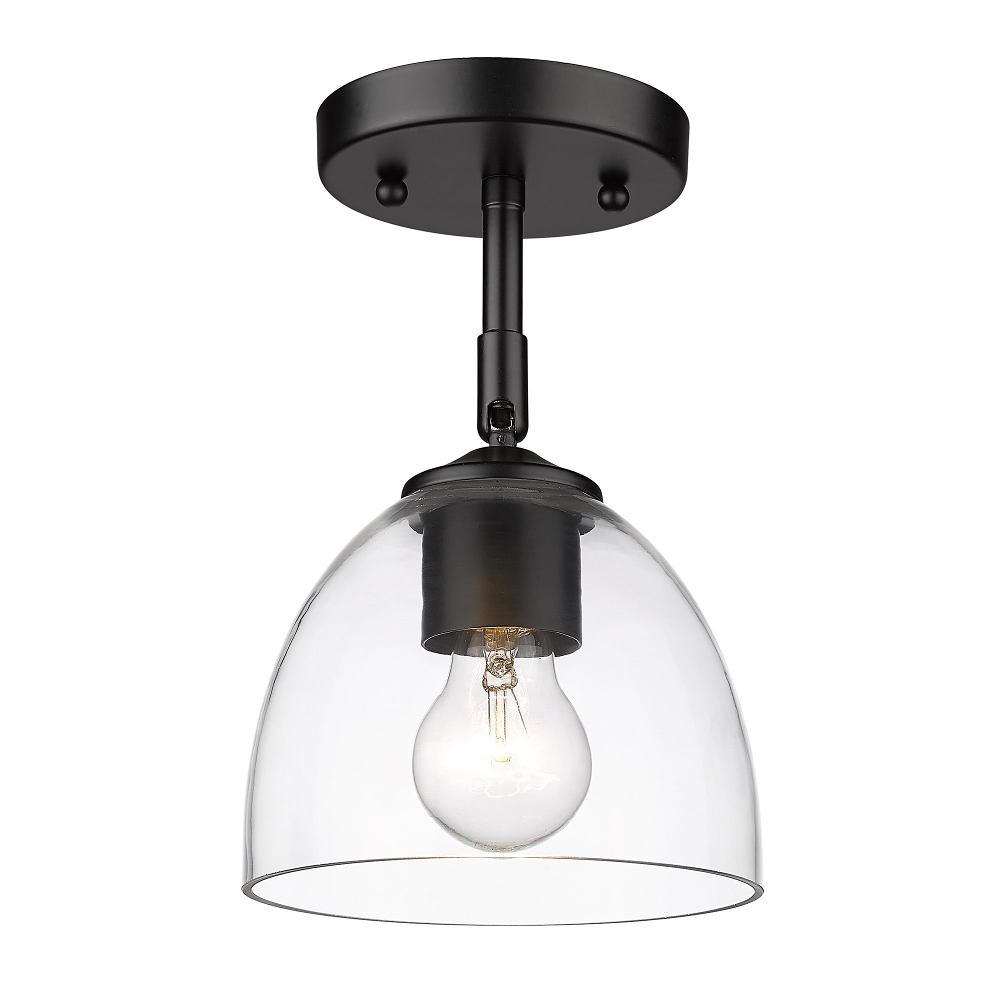 Golden Lighting Roxie 1-Light Matte Black Semi-Flush mount light in the ...