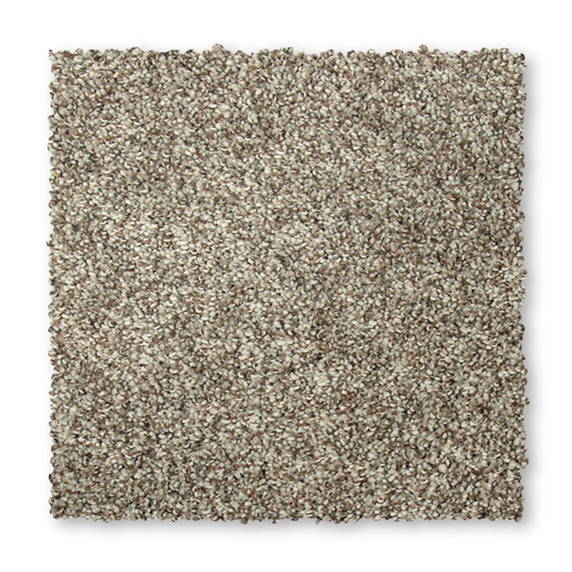 STAINMASTER SS024-L002-0808 (Sample) Mellow Rhythm II Marble Tile Brown 52-oz sq yard Polyester Textured Indoor Carpet