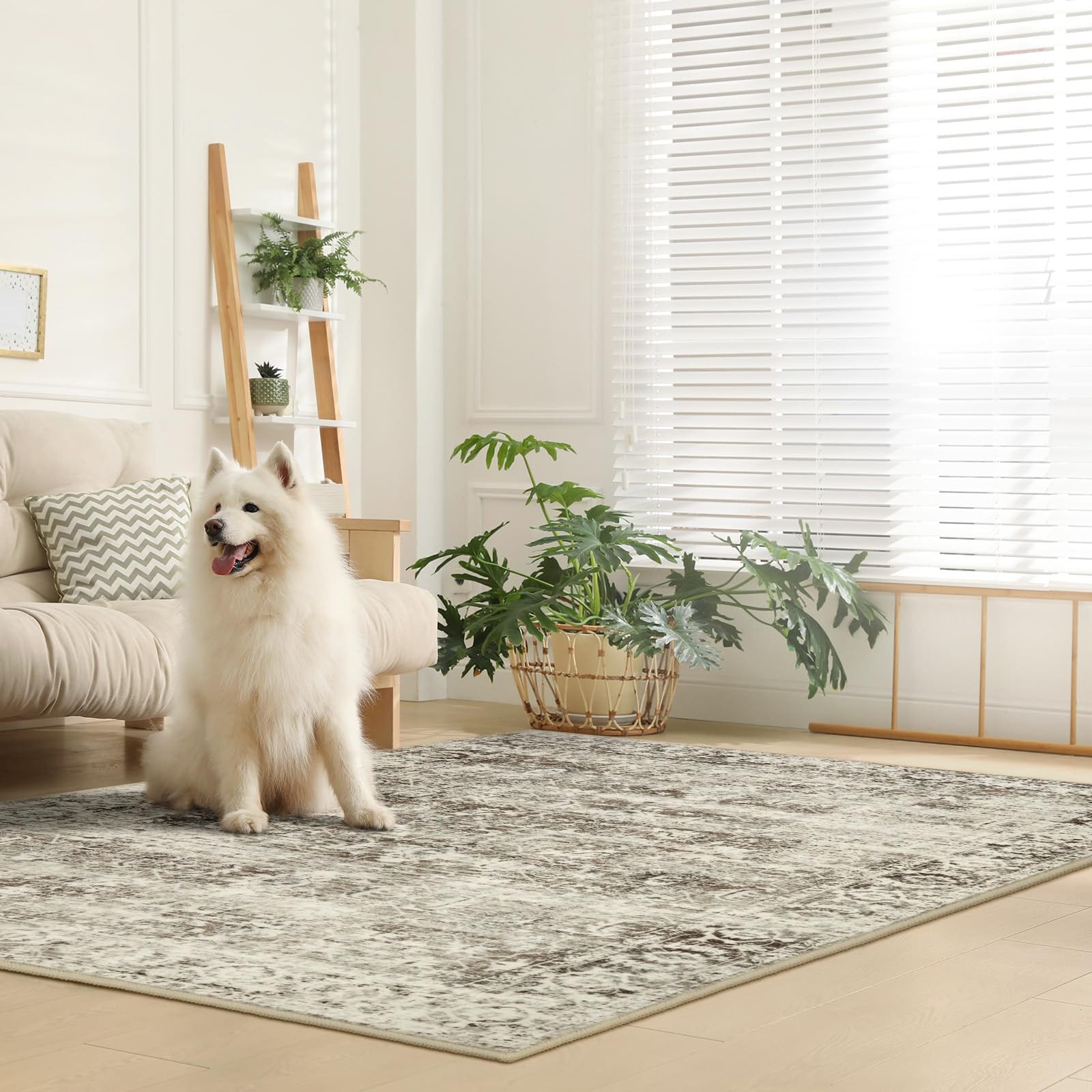 Lahome AR-ZZR-006-BR1 rugs - View #8