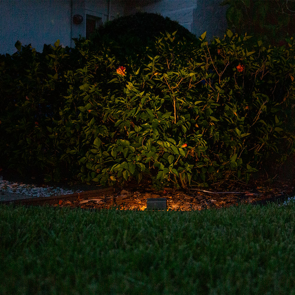 VOLT LOW-FL-2100-BBZ Spot-Lights - View #2