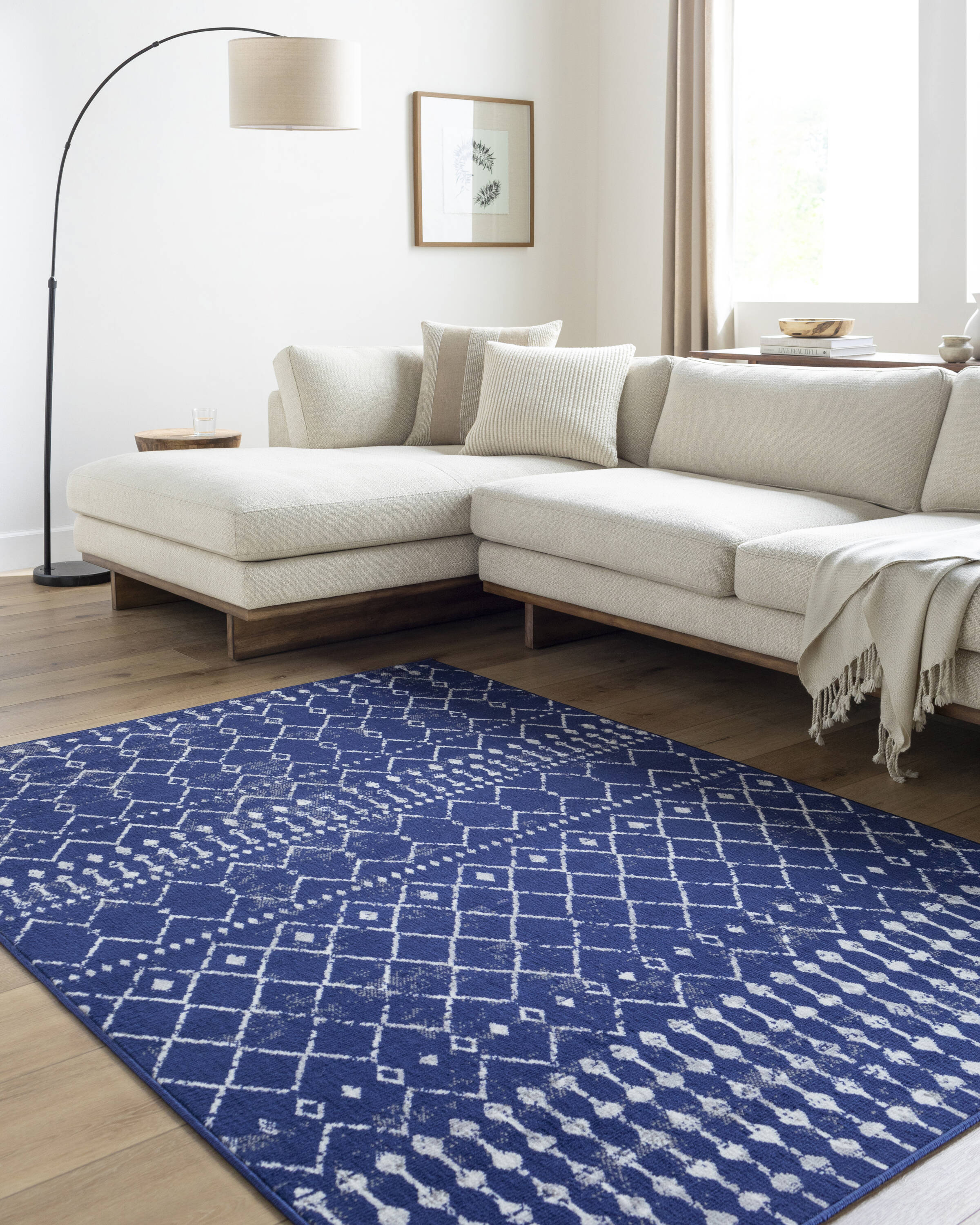 4 x 10 Rugs at Lowes.com