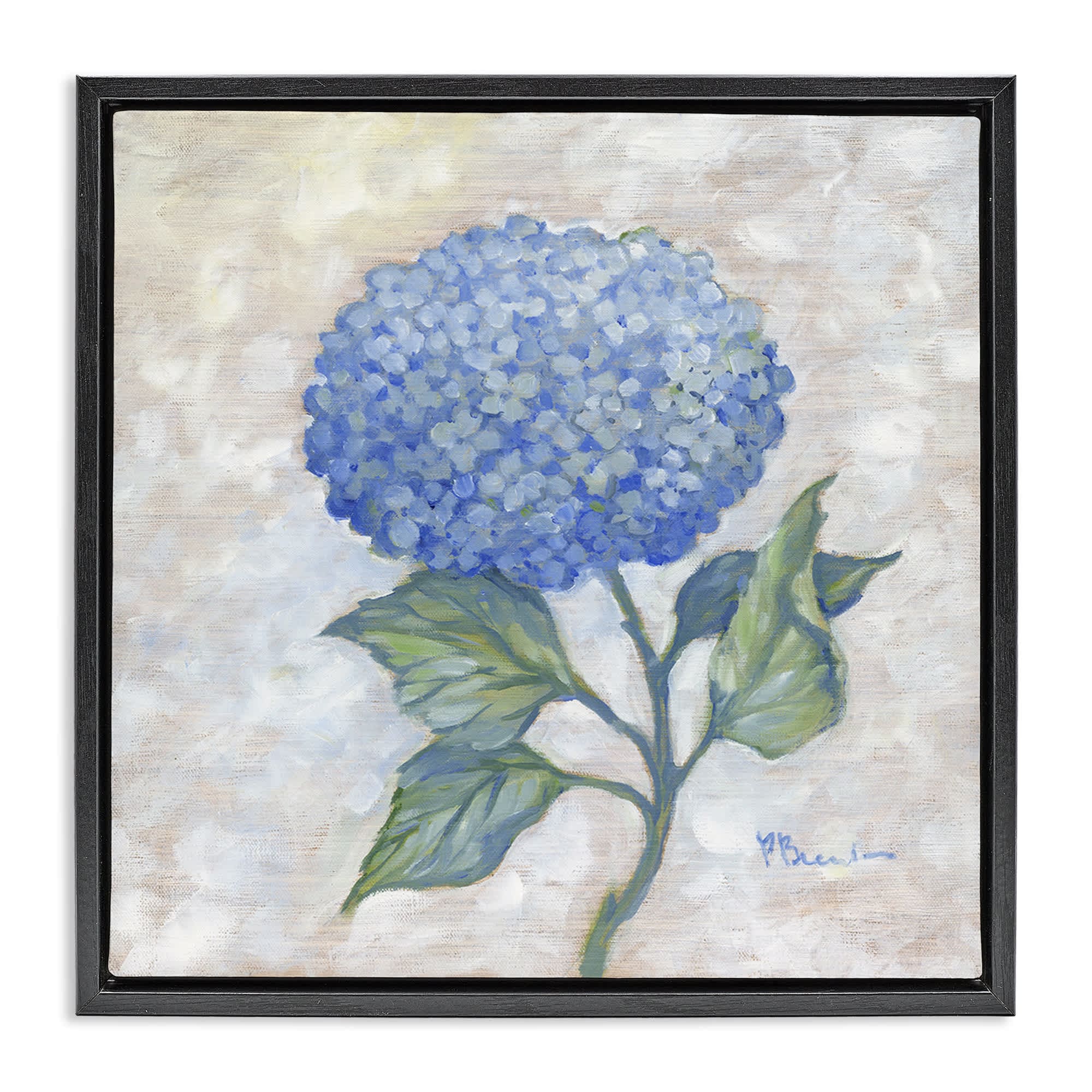 Stupell Industries BT-742-FFB-17X17 Traditional Blue Hydrangea Bloom Black Framed Floater Canvas Wall Art By Paul Brent 18 x 18