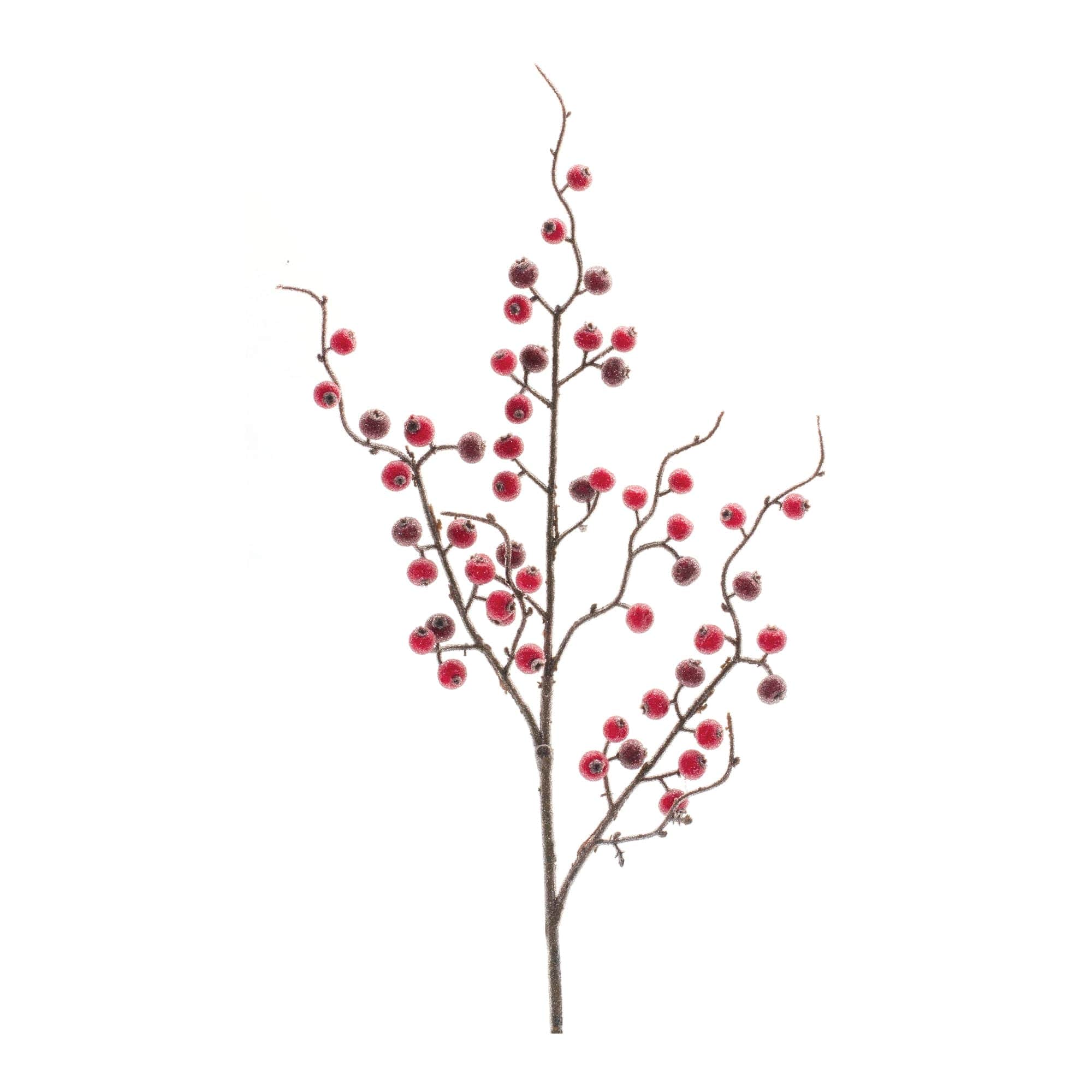 Melrose International Iced Berry Twig Spray (Set of 12)