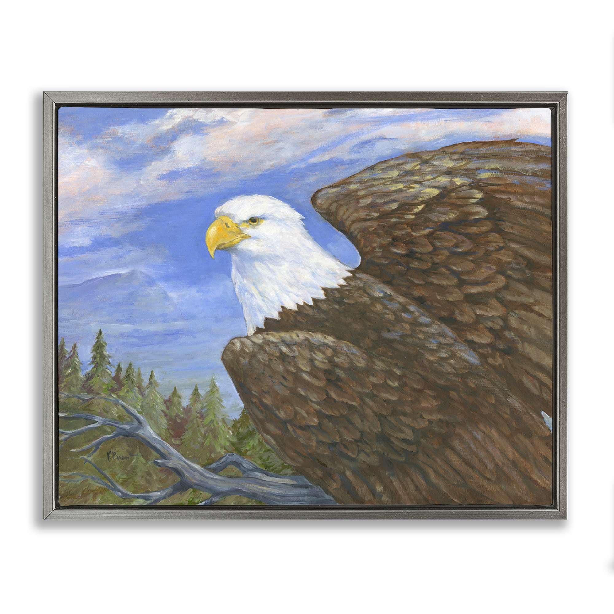 Stupell Industries BT-794-FFL-16X20 Eagle Overlook from Tree Top Floating Frame design by Paul Brent