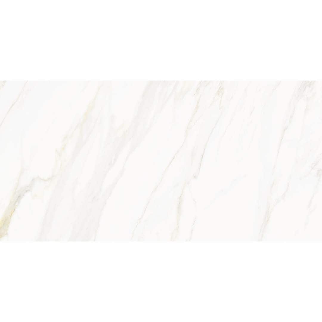 The Tile Life TVENU2448PO Ceramic-Tile - View #10