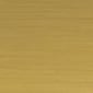 Brushed Gold