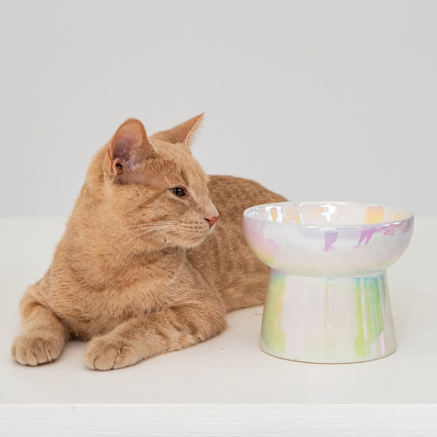 Dexypaws G0871789002109 Pet-Bowls - Thumbnail View #3