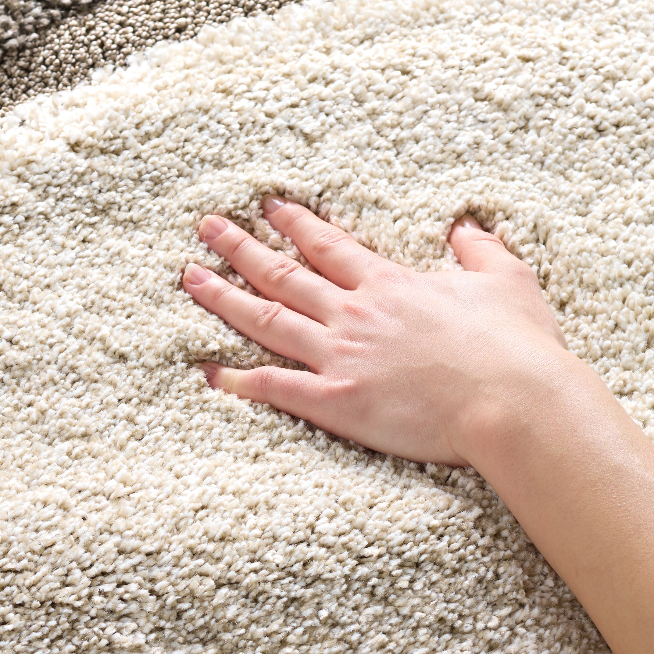 Safavieh SG473-2811-4 rugs - View #6