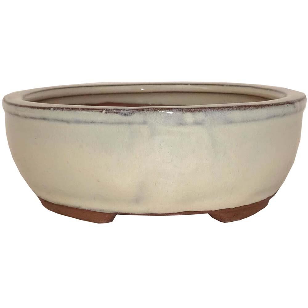 10 Glazed Ceramic Oval Bonsai Pot - (New Cream) - Brussel's Bonsai