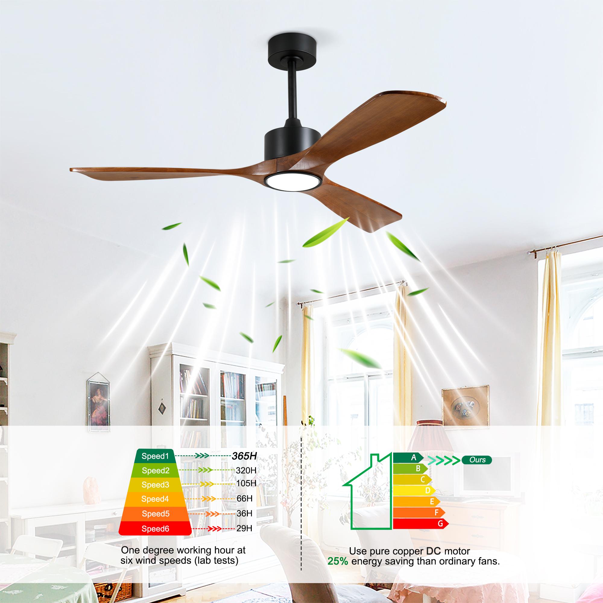 Bayfeve BF-364058-MP Ceiling-Fans - View #8