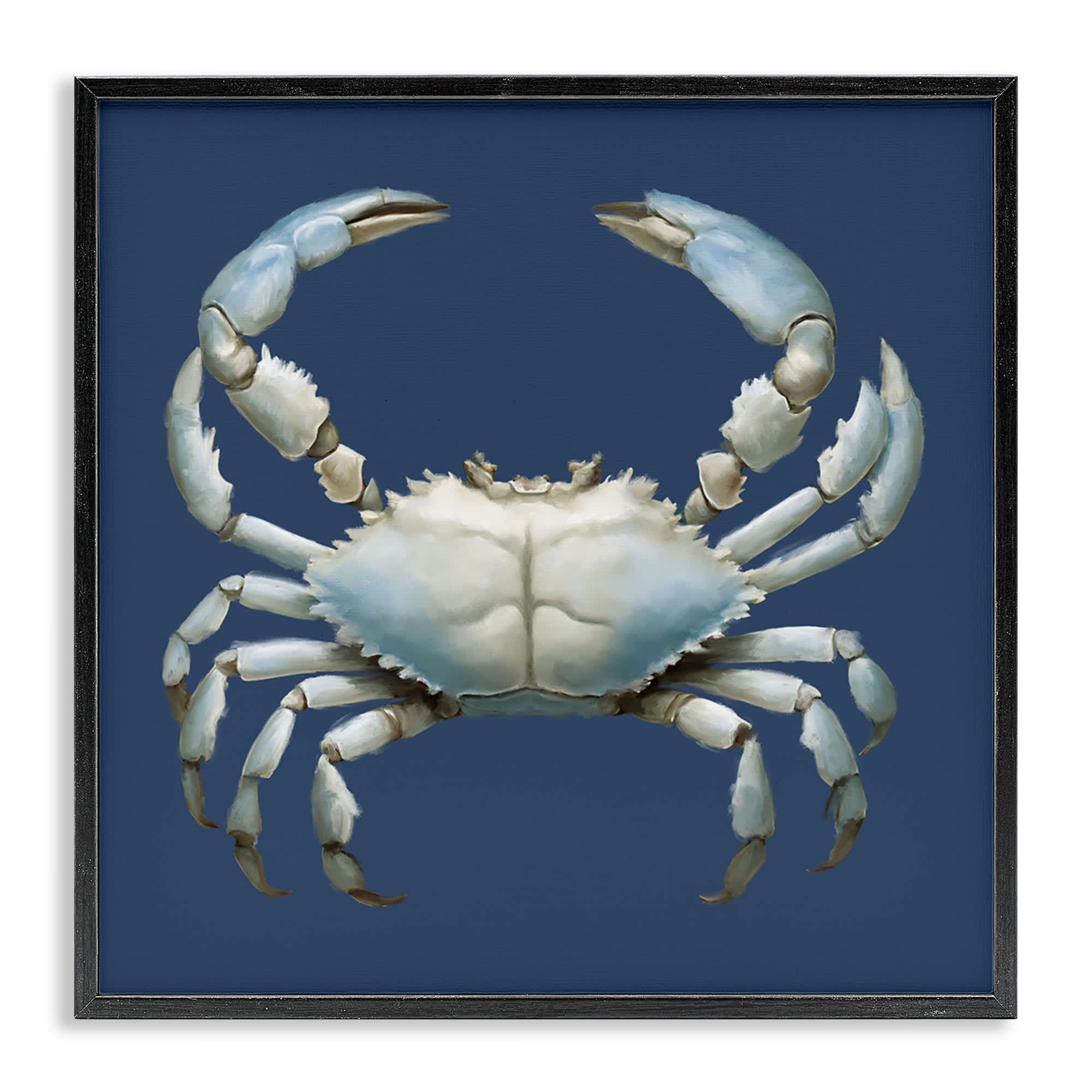 Stupell Industries BS-832-FR-17X17 Detailed Aquatic Blue Crab Black Framed Giclee Art By Elizabeth Medley 17 x 17