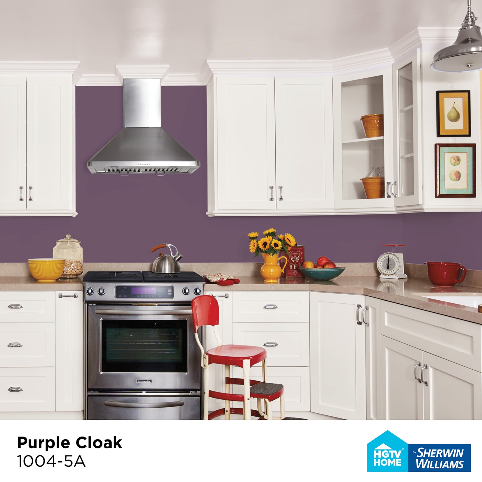 HGTV HOME by Sherwin-Williams 1004-5A-935221 Int-Ext-Paint - View #2