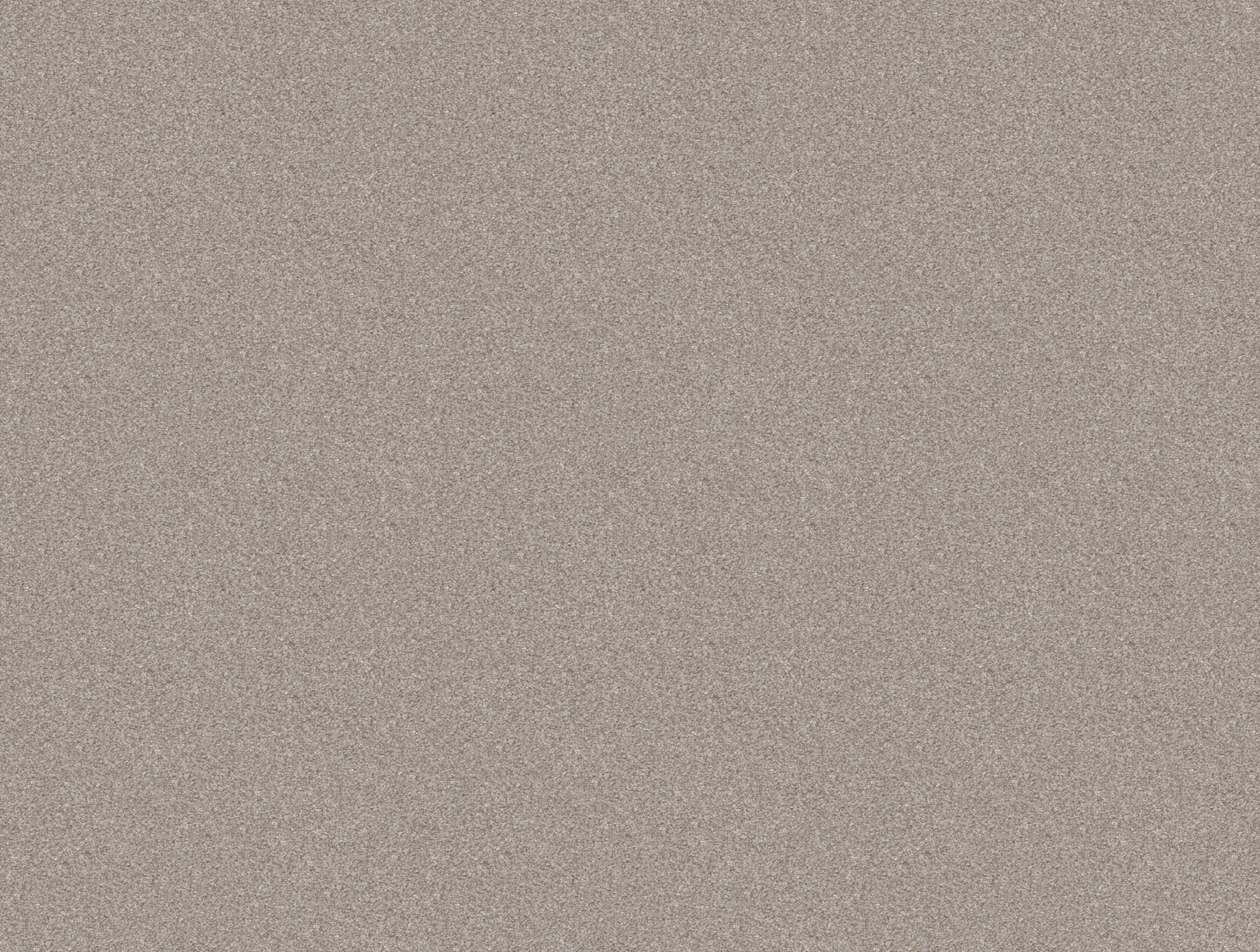 Style Selections 7L92200131 Amped Up Off Shore Brown 31.2-oz sq yard Polyester Textured Indoor Carpet