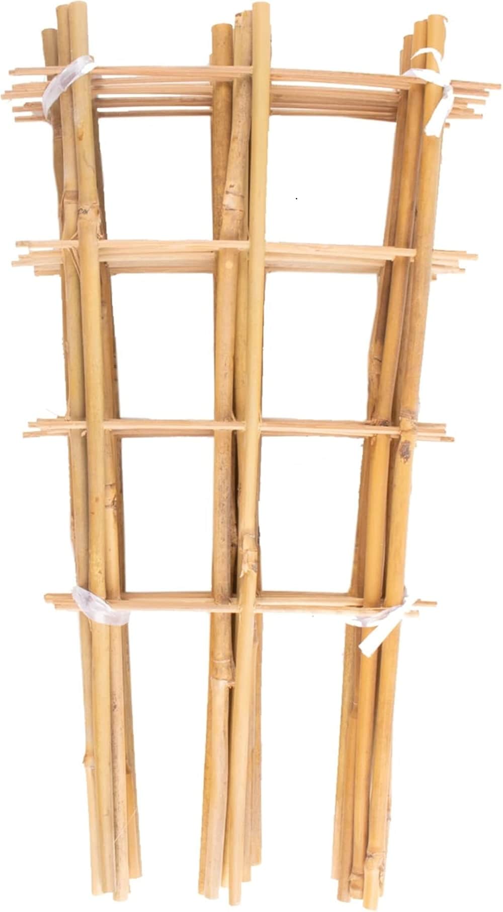 MaseiKar 10 Pack Bamboo Trellis for Climbing Plants 16 in Natural Garden Ladder Plant Support Fan Shaped Trellis for Pots and Gardens