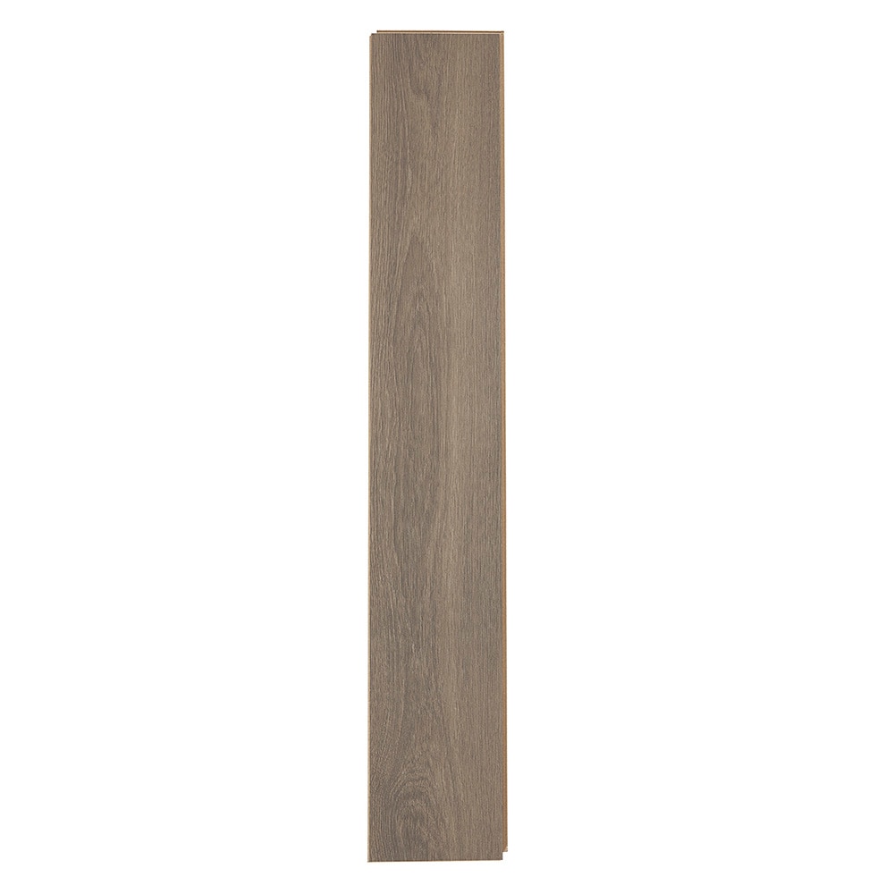 STAINMASTER PetProtect LWCSS581 Laminate-Flooring-Samples - View #8