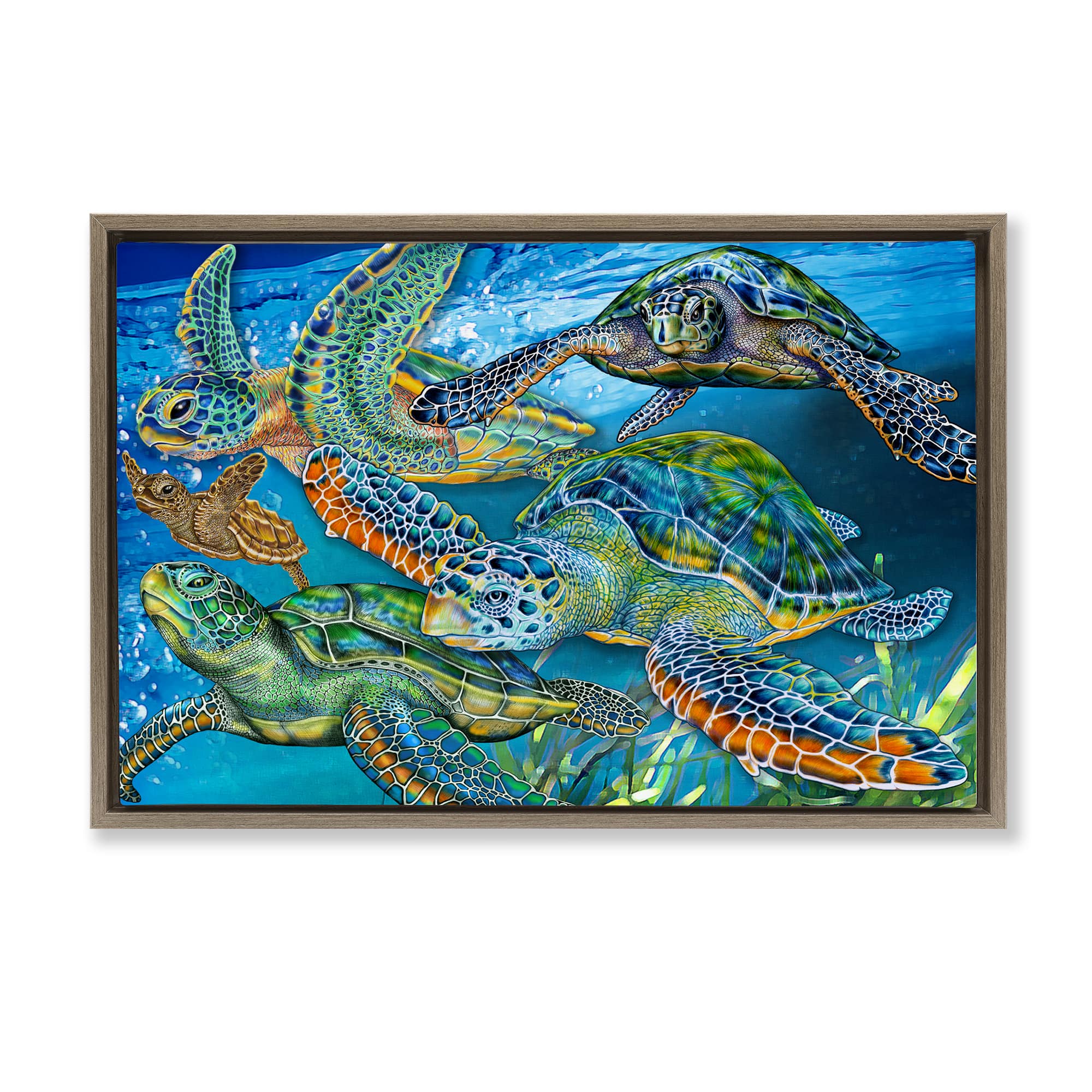 Stupell Industries BT-363-FFE-20X30 Tortoise Family Underwater Swim Brown Framed Floater Canvas Wall Art By Tim Jeffs 31 x 21