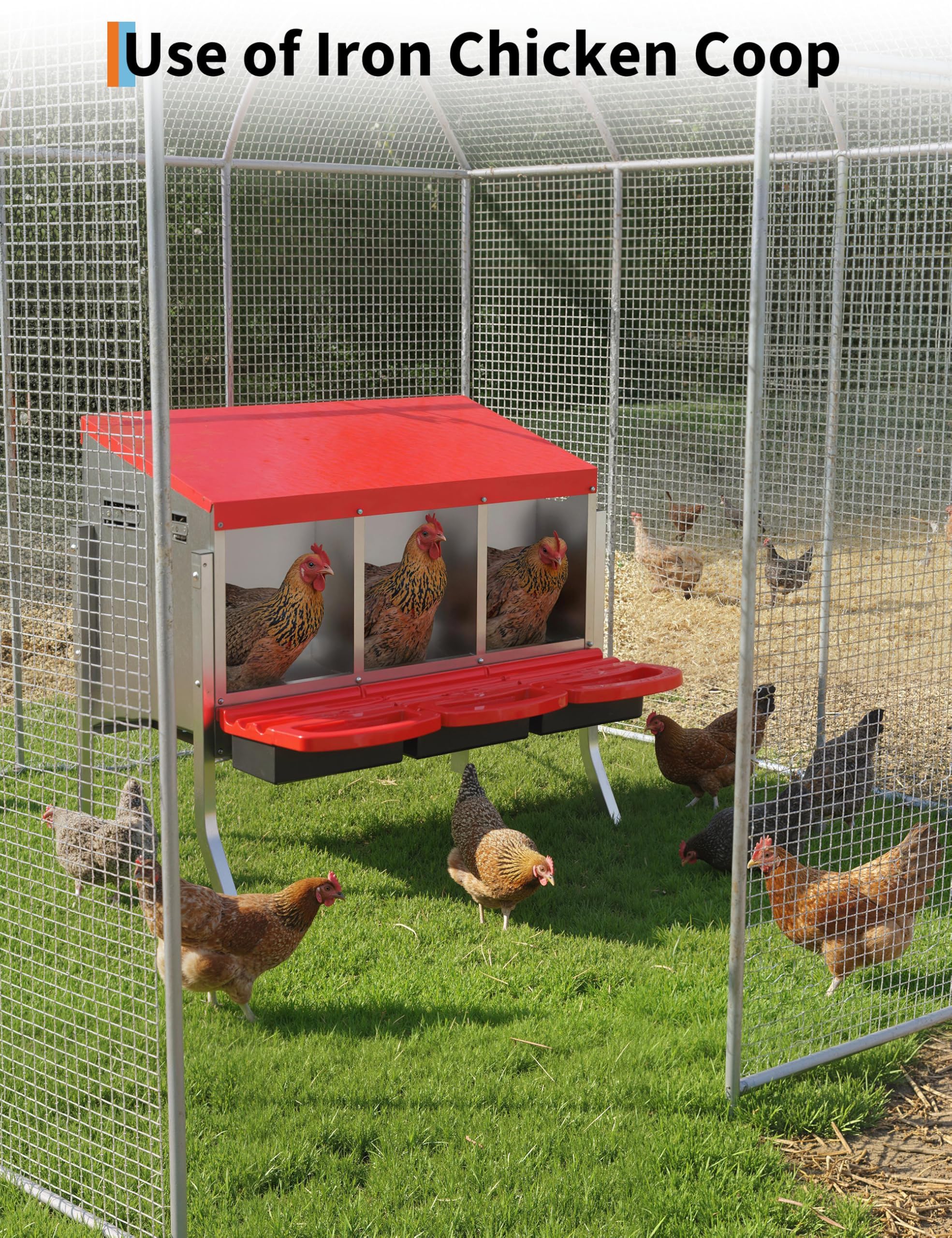 DEXSO ENCOREPPGBA4675 Chicken-Coops-Rabbit-Hutches - View #5