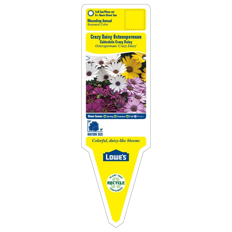 Lowe's 712241 annuals - View #2