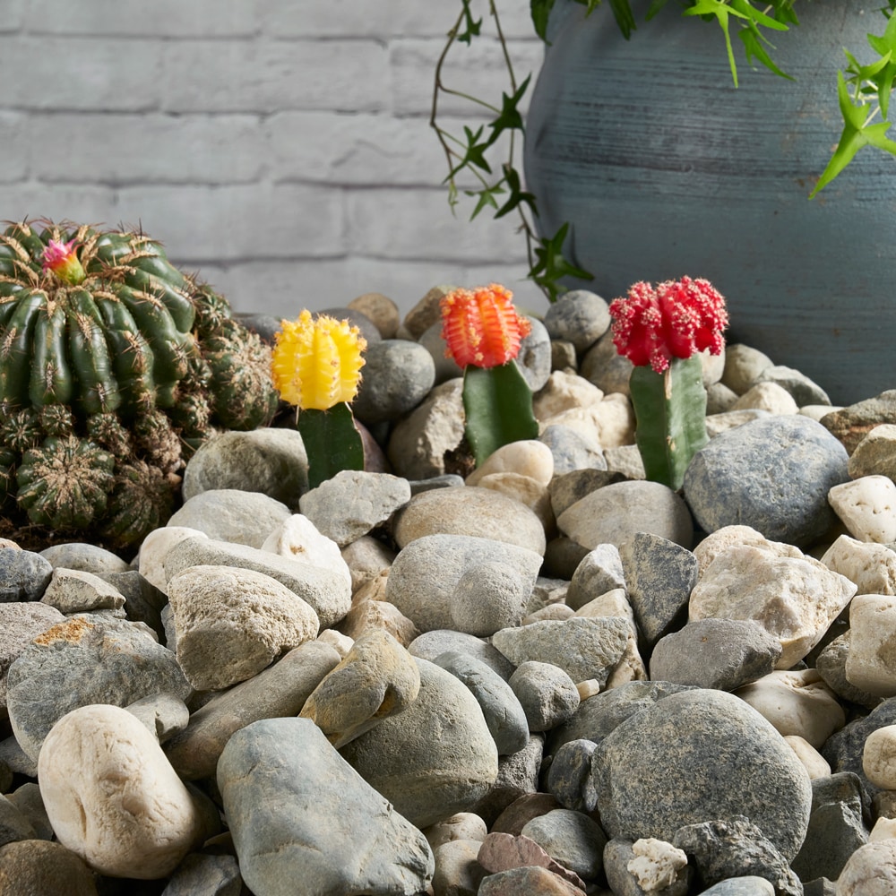 EARTHESSENTIALS BY QUIKRETE 127902 Landscaping-Rock - View #3