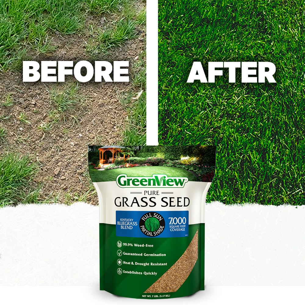 Greenview 2829868 Grass-Seed - View #5