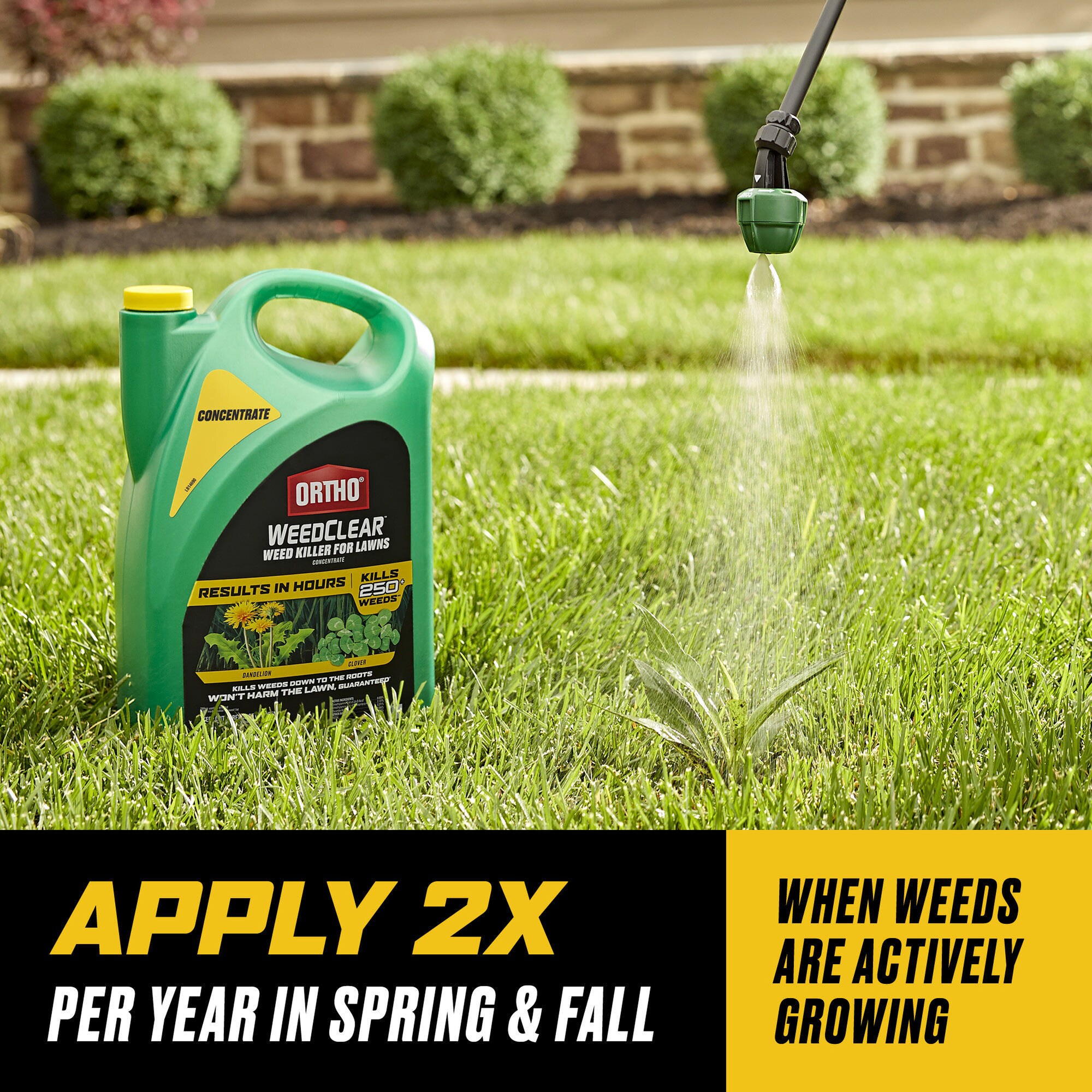 ORTHO WeedClear 1-Gallon Concentrated Lawn Weed Killer in the Weed ...