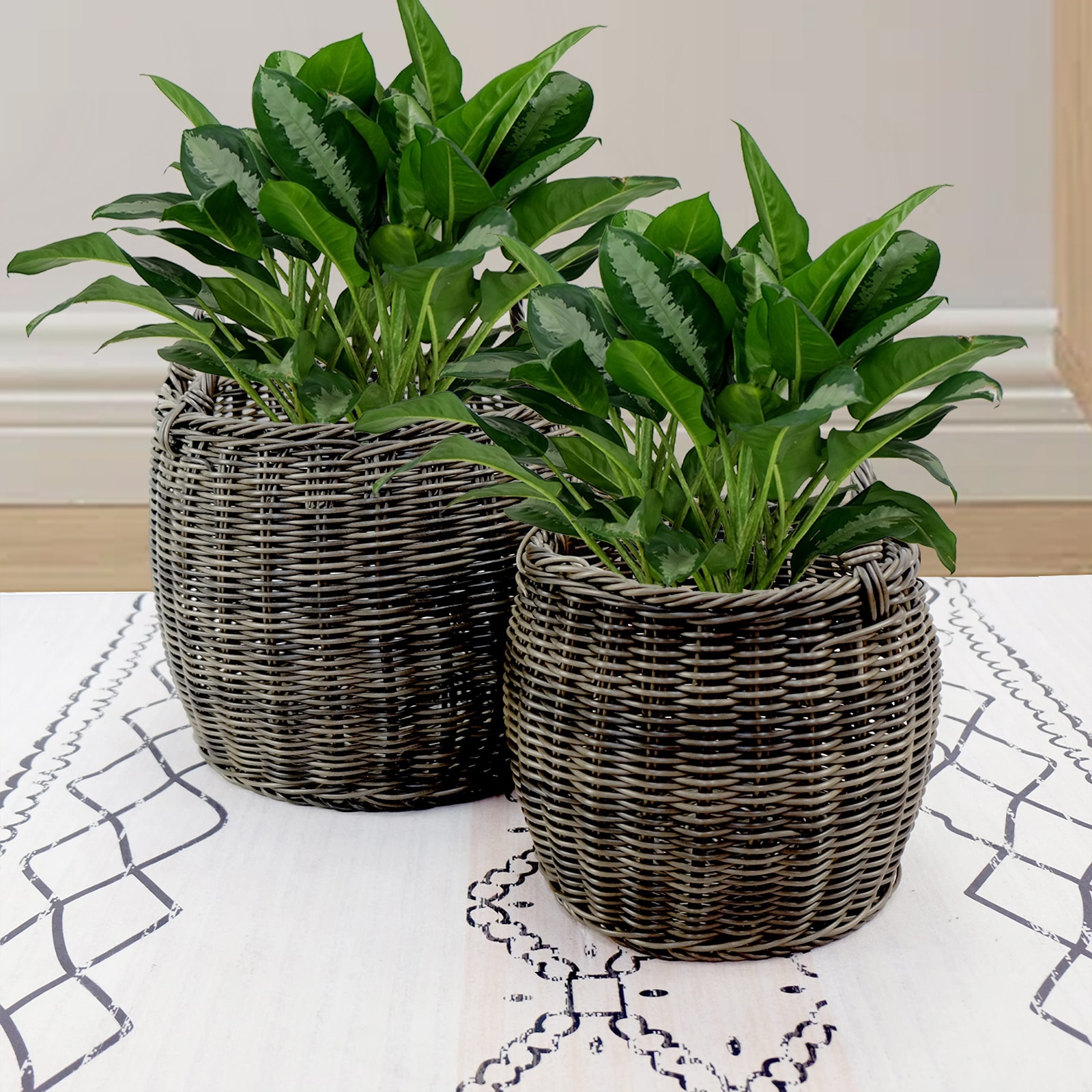 Siavonce XH44640 Planter-Window-Box - View #9