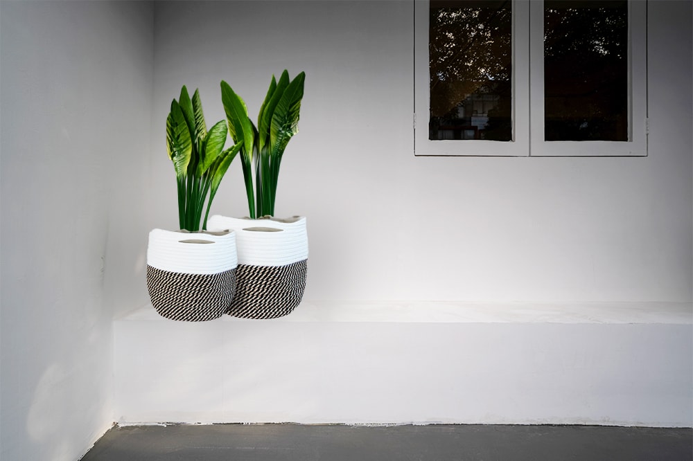 allen + roth BBZ10-12MIX Planter-Window-Box - View #4