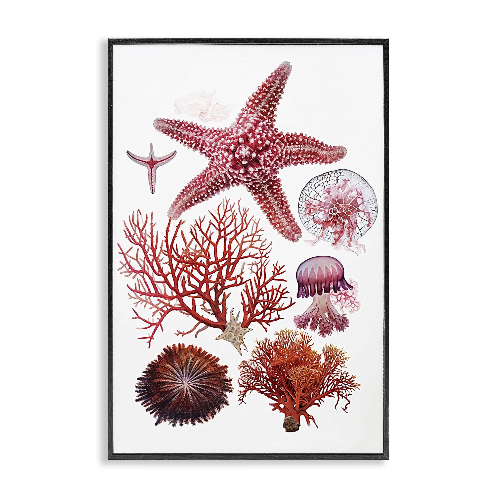 Stupell Industries BS-963-FR-20X30 Rosy Undersea Creatures Black Framed Giclee Art By Ramona Murdock 20 x 30