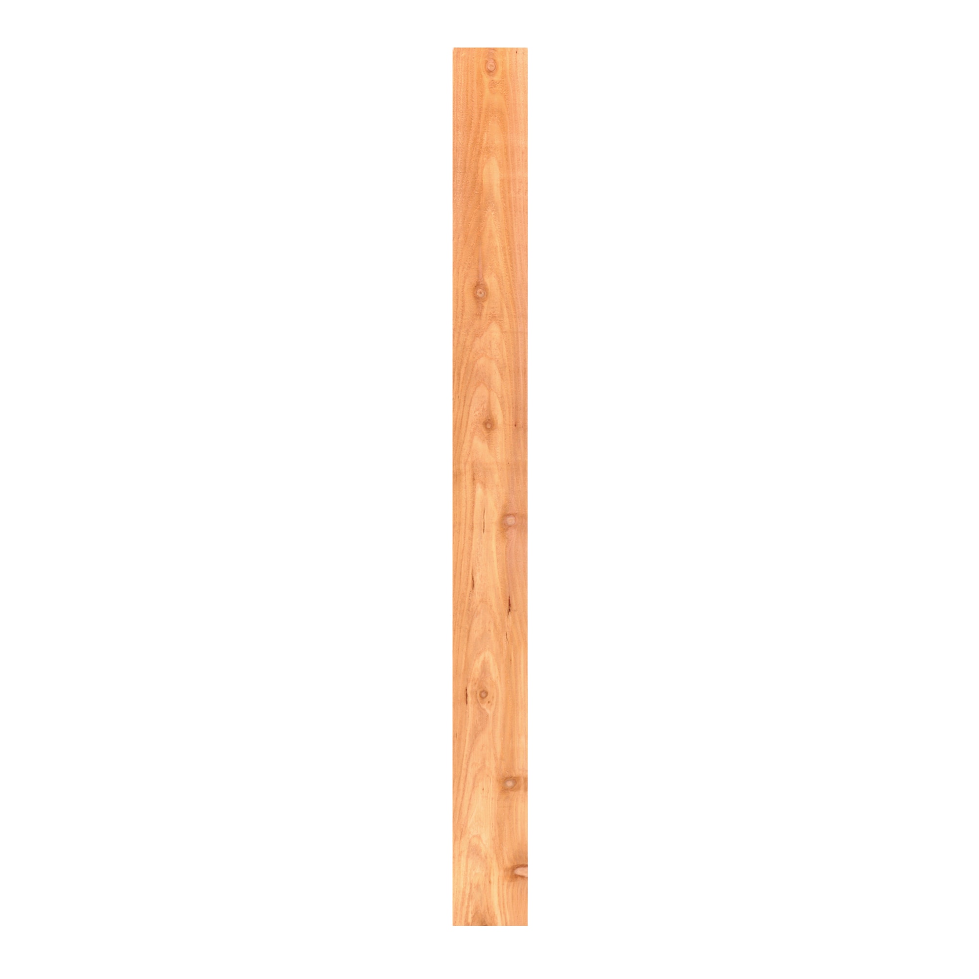  1717 1-in x 4-in x 3.5-ft Cedar Flat-top Fence Picket
