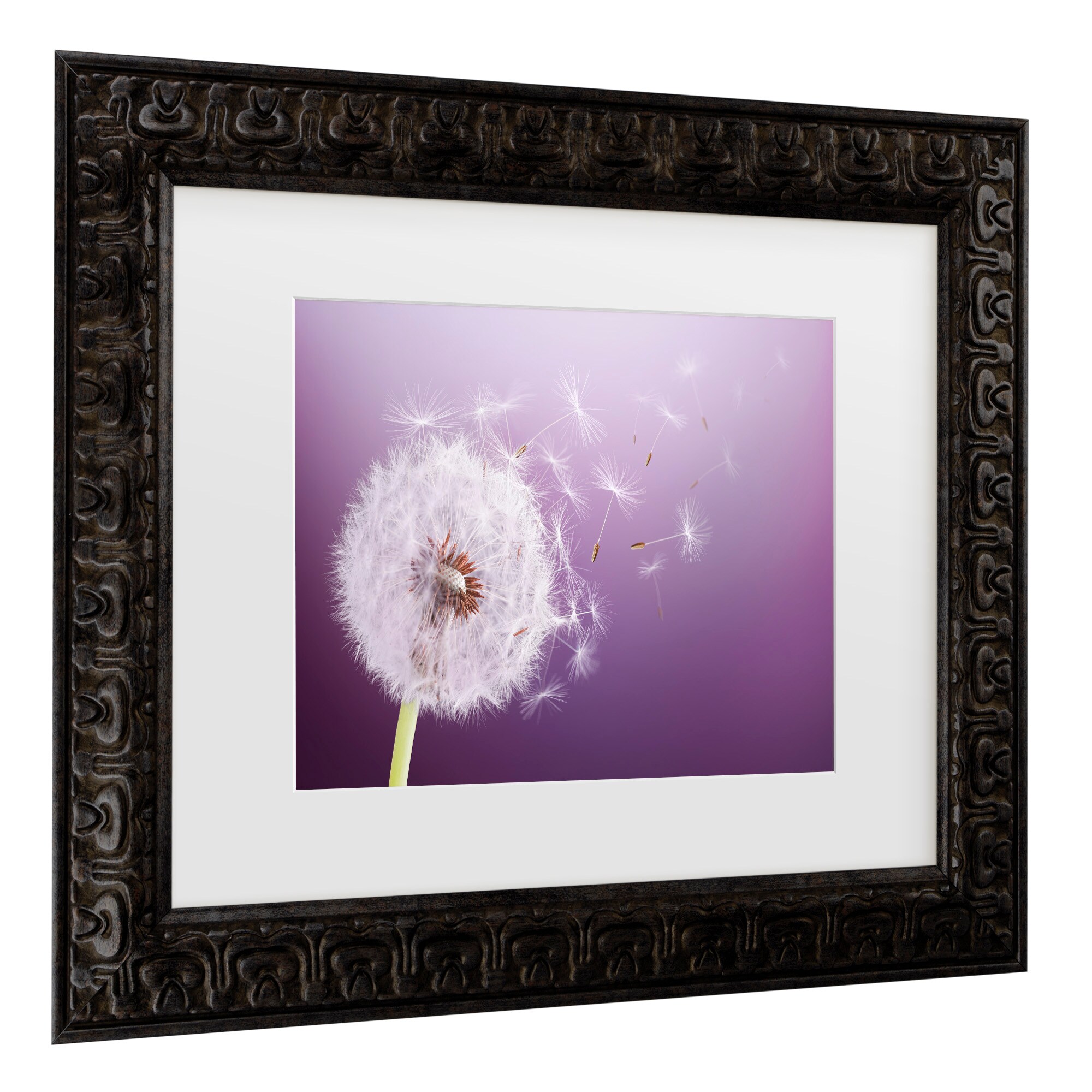 Trademark Fine Art 1X10929-DG1620MF Wall-Art - View #3
