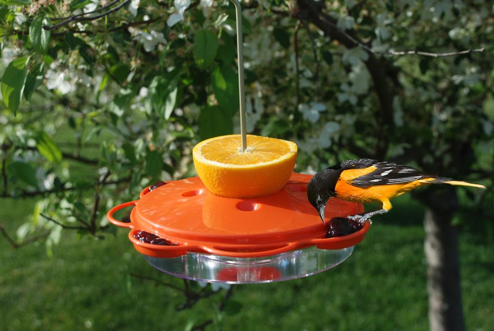 Woodlink 25018 Bird-Feeders - View #3