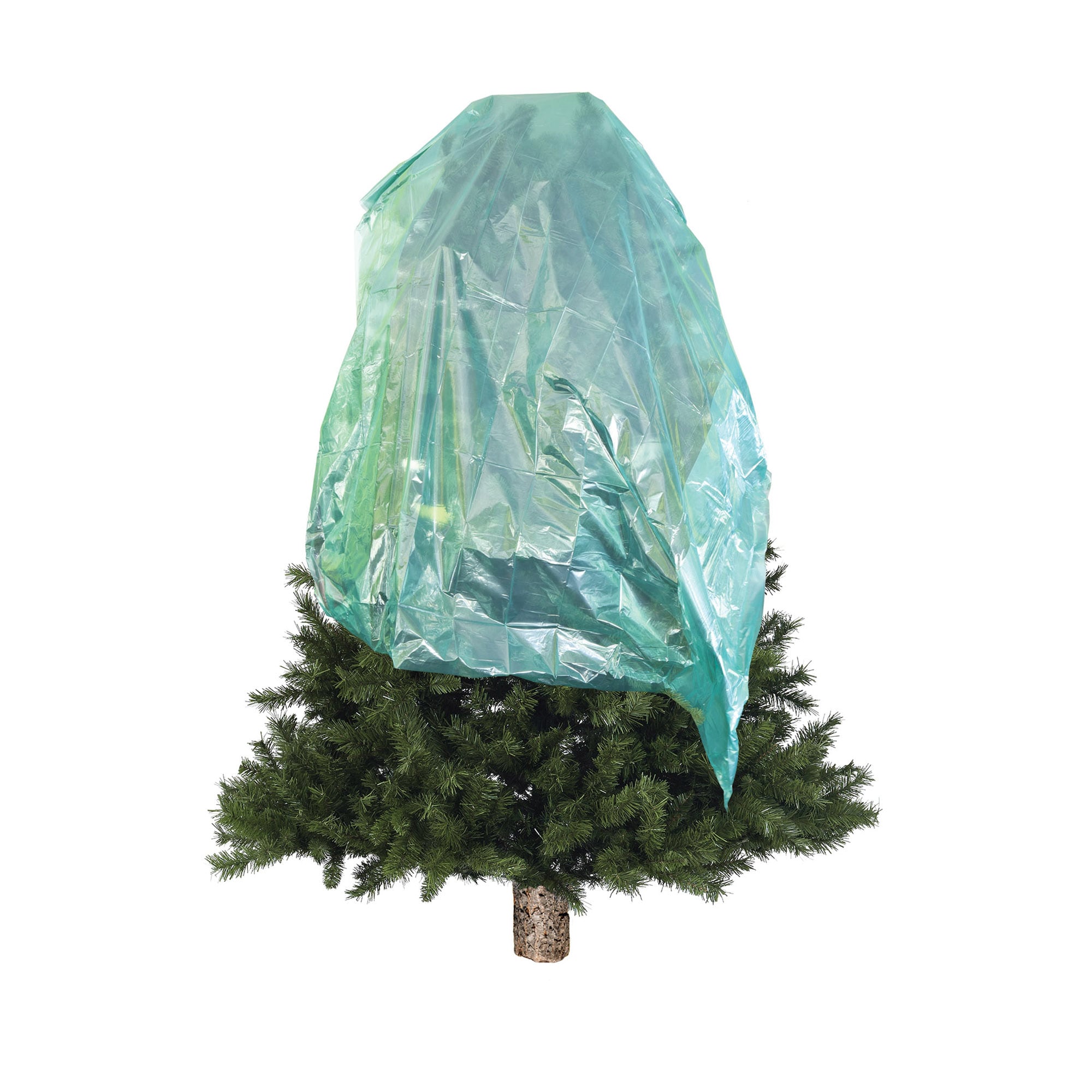 Northlight 35256108 X-large Heavy Duty Green Storage Bags ( 160-in H x 165-in W )