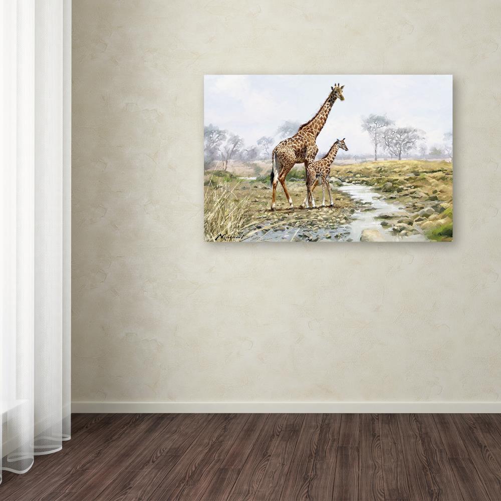 Trademark Fine Art Framed 30-in H x 47-in W Animals Print on Canvas in ...