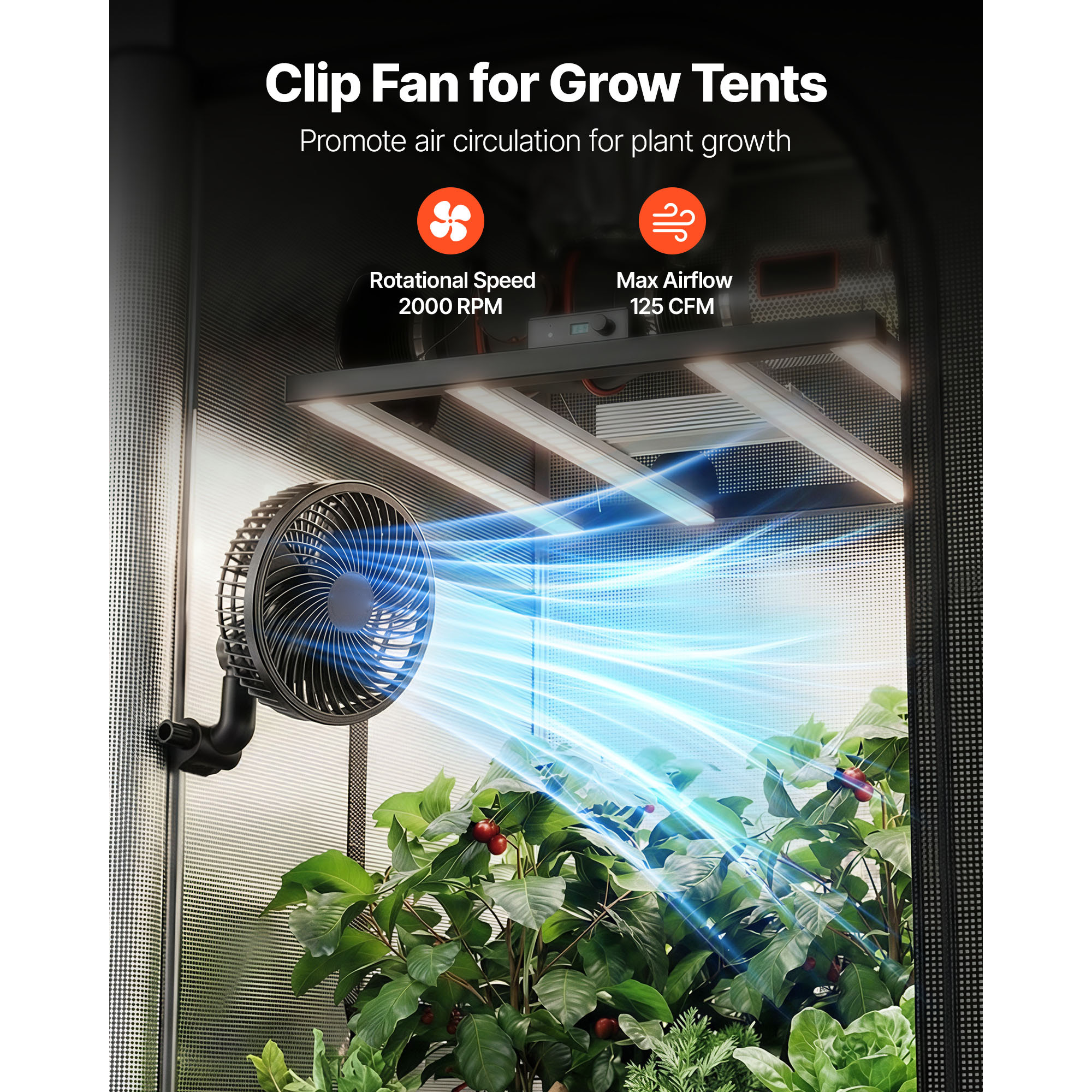 large pop up tent AYAMAYA Family Camping | Tent Größe:25 Liter How to Find the and a smart vestibule mizuno catchers gear