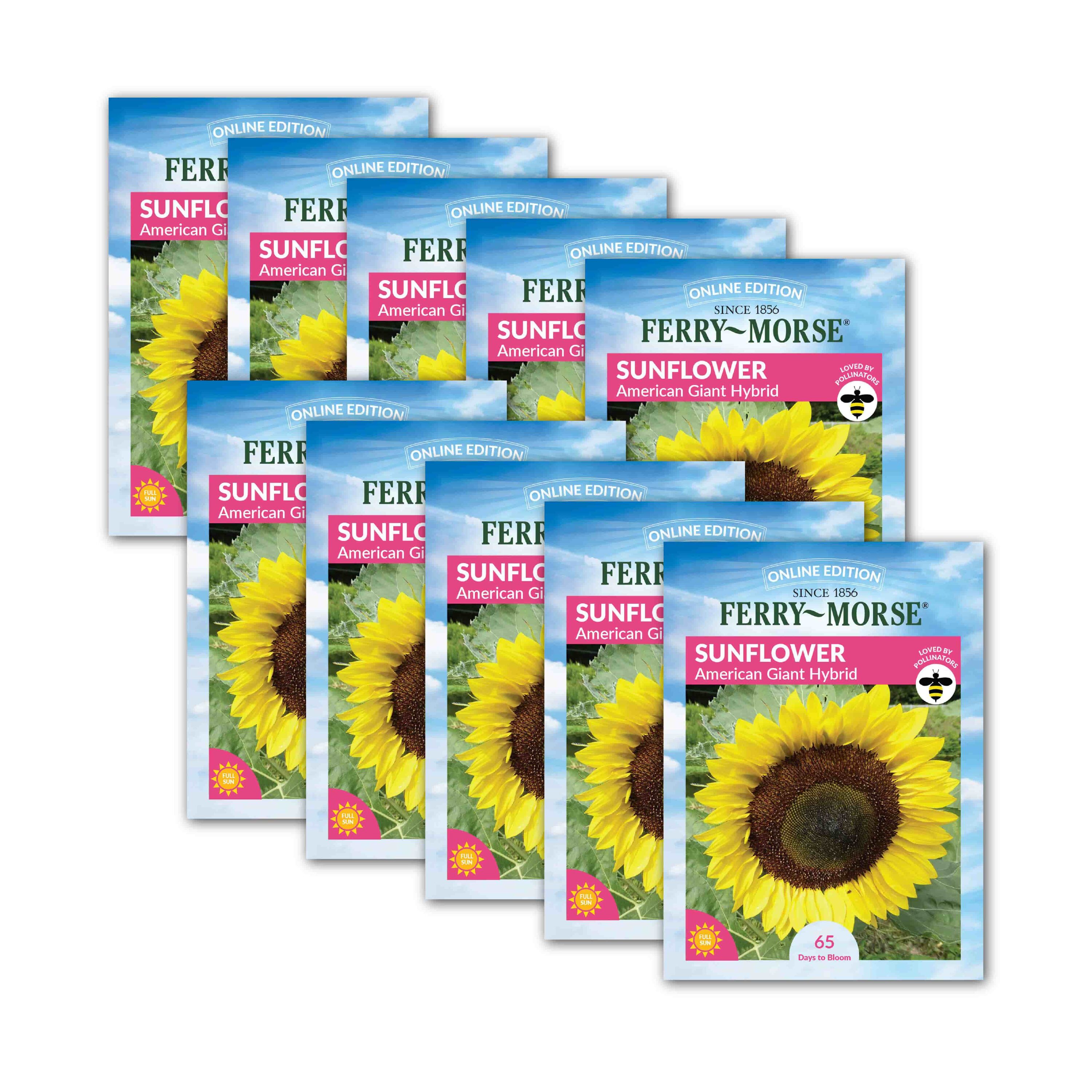 Ferry-Morse Sunflower American Giant Hybrid Seed 10 Pack