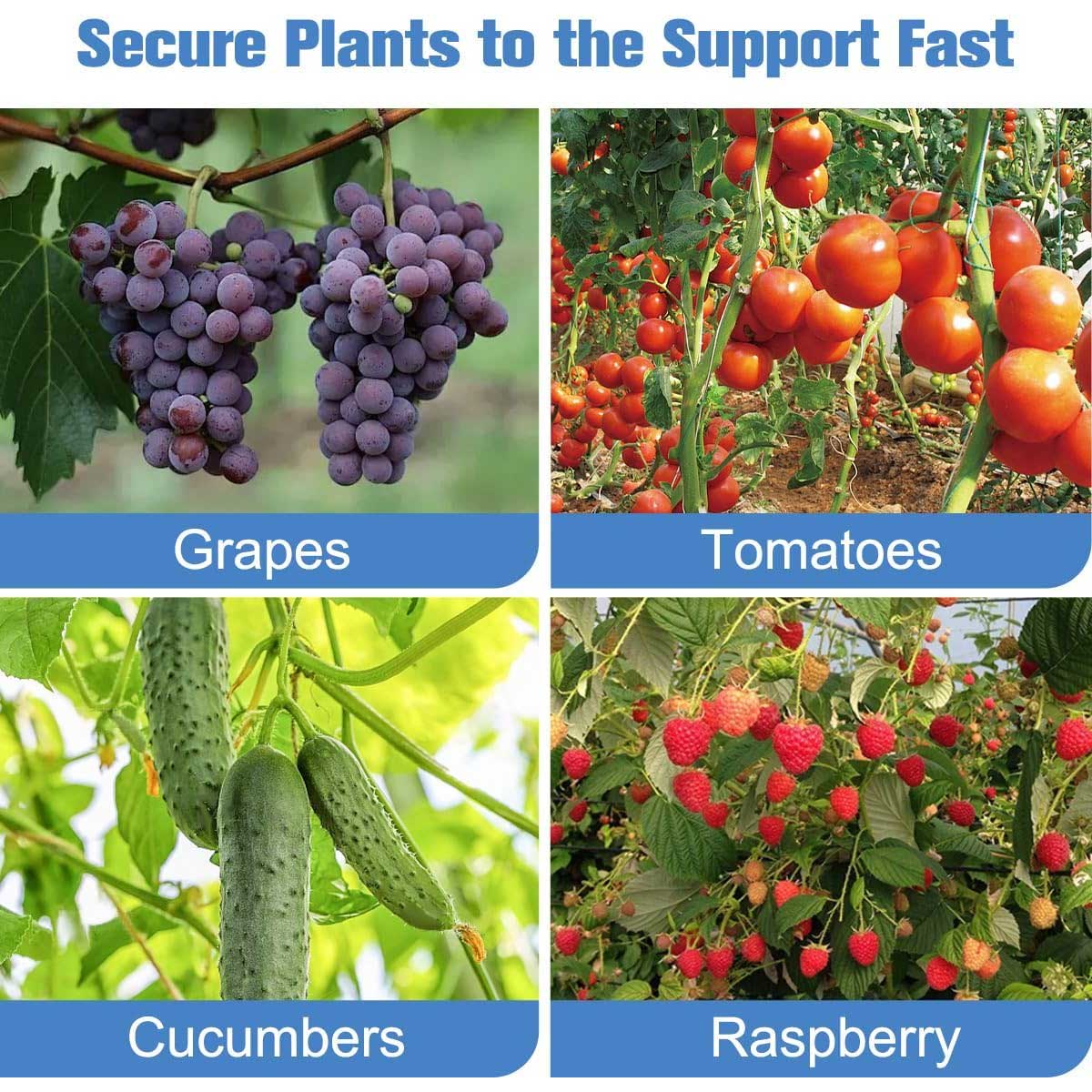 Aoibox LABZB0826075 Speciality-Garden-Hand-Tools - View #5