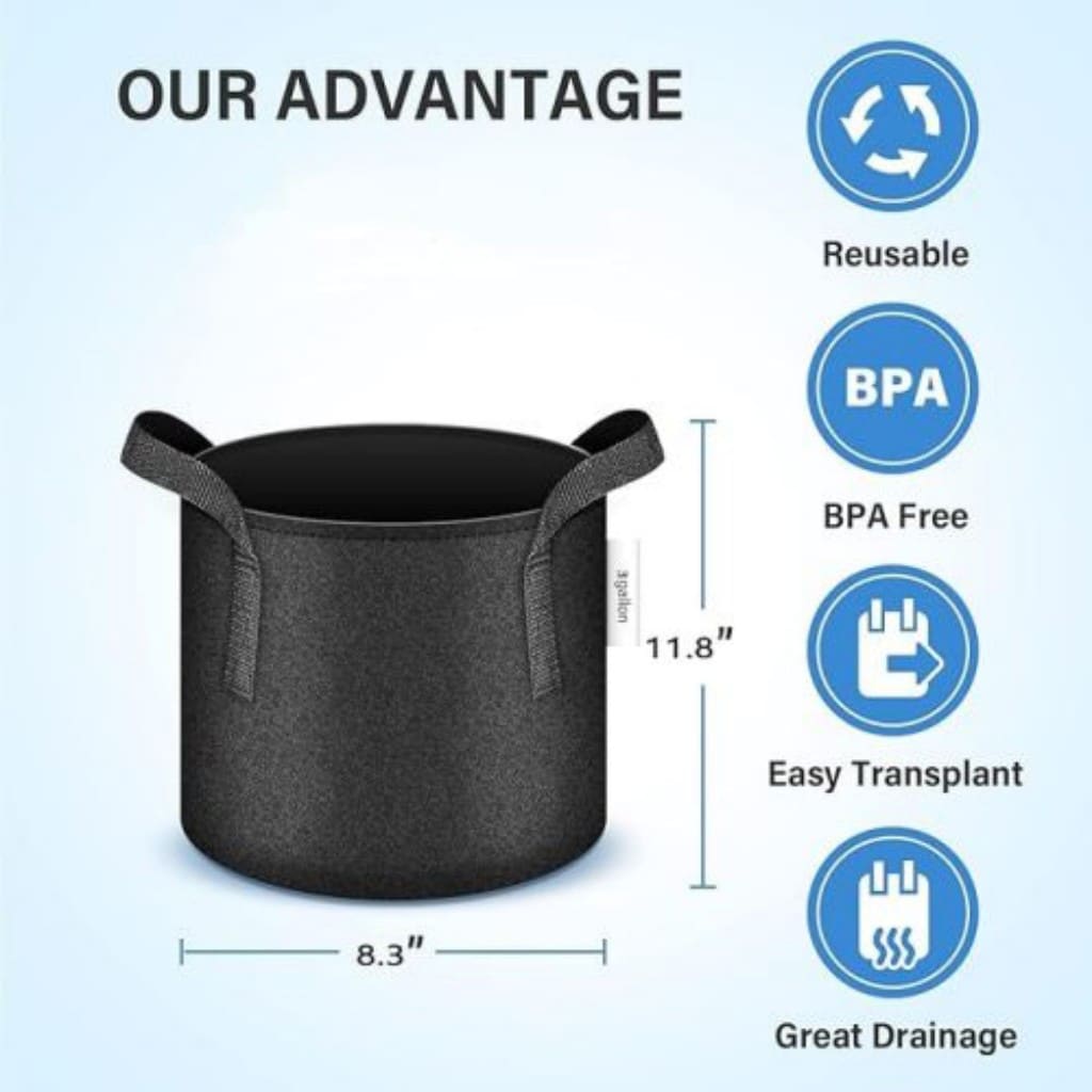 AHIOU HOME ZAAHG-P312429BG Planter-Window-Box - View #6