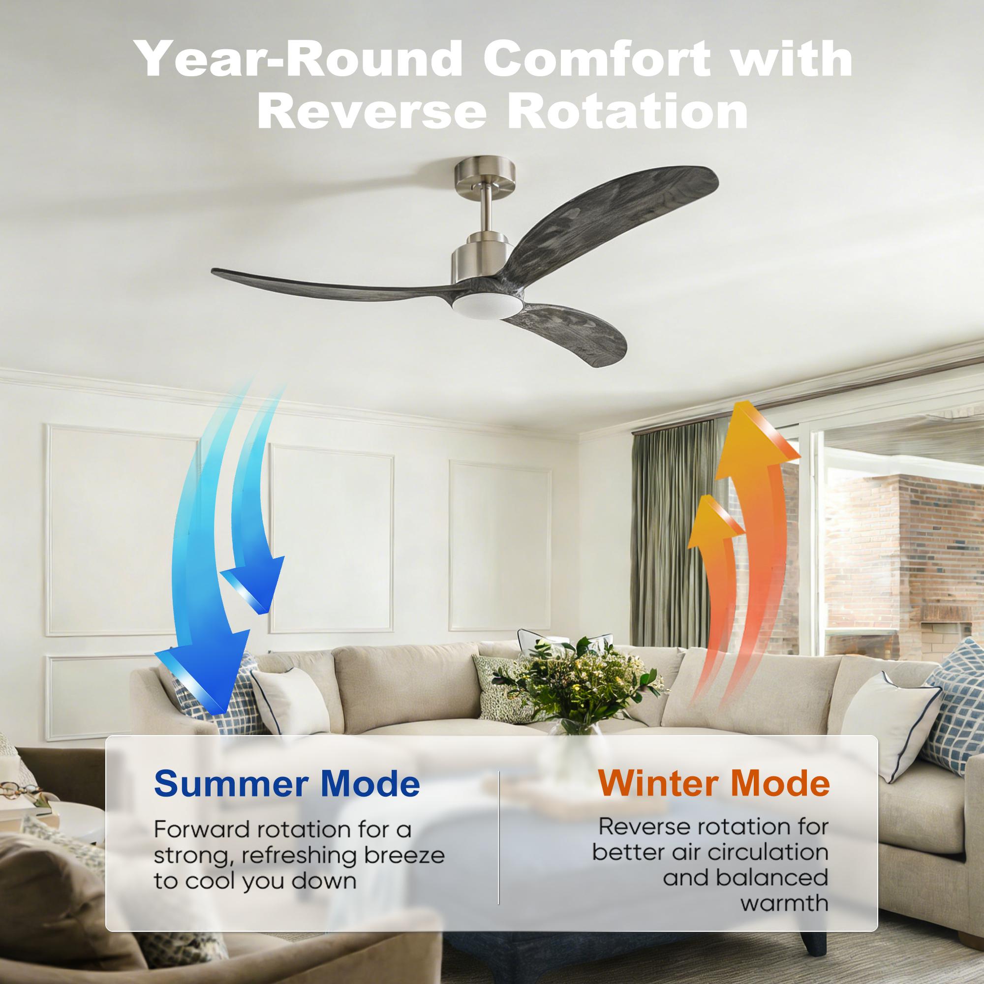 Bayfeve BF-395698-MP Ceiling-Fans - View #7