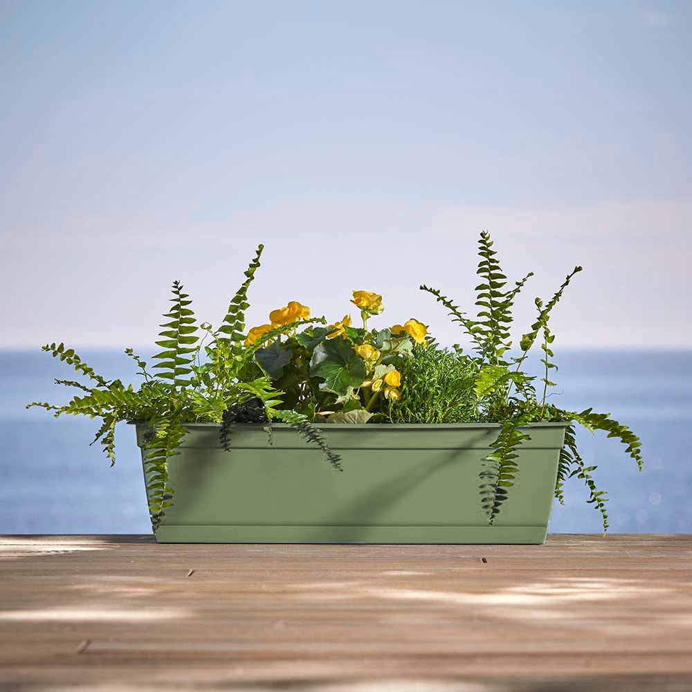 Bloem DAYWB2442 Planter-Window-Box - View #3