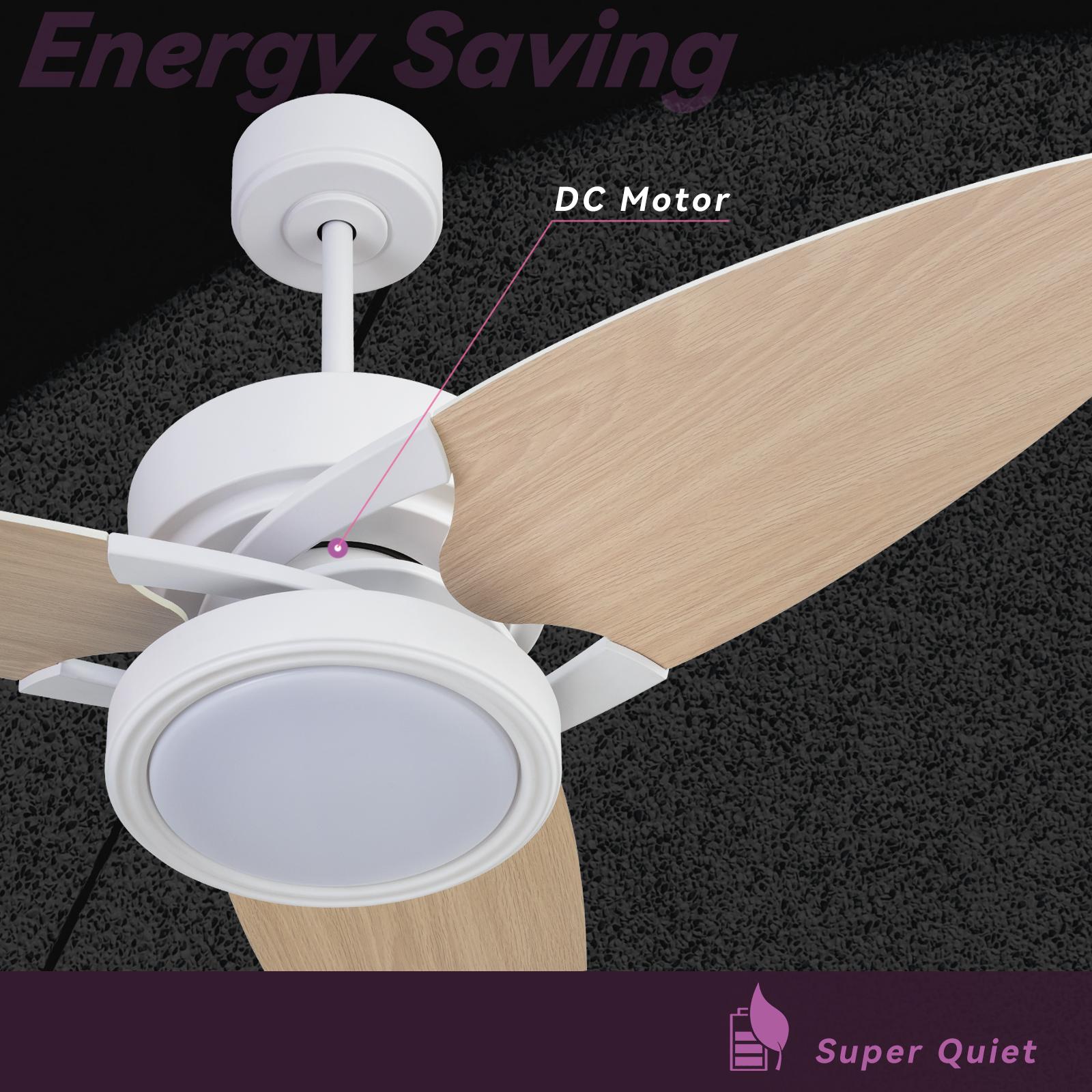 Bayfeve BFXB-5206ADCBXE26 Ceiling-Fans - View #6