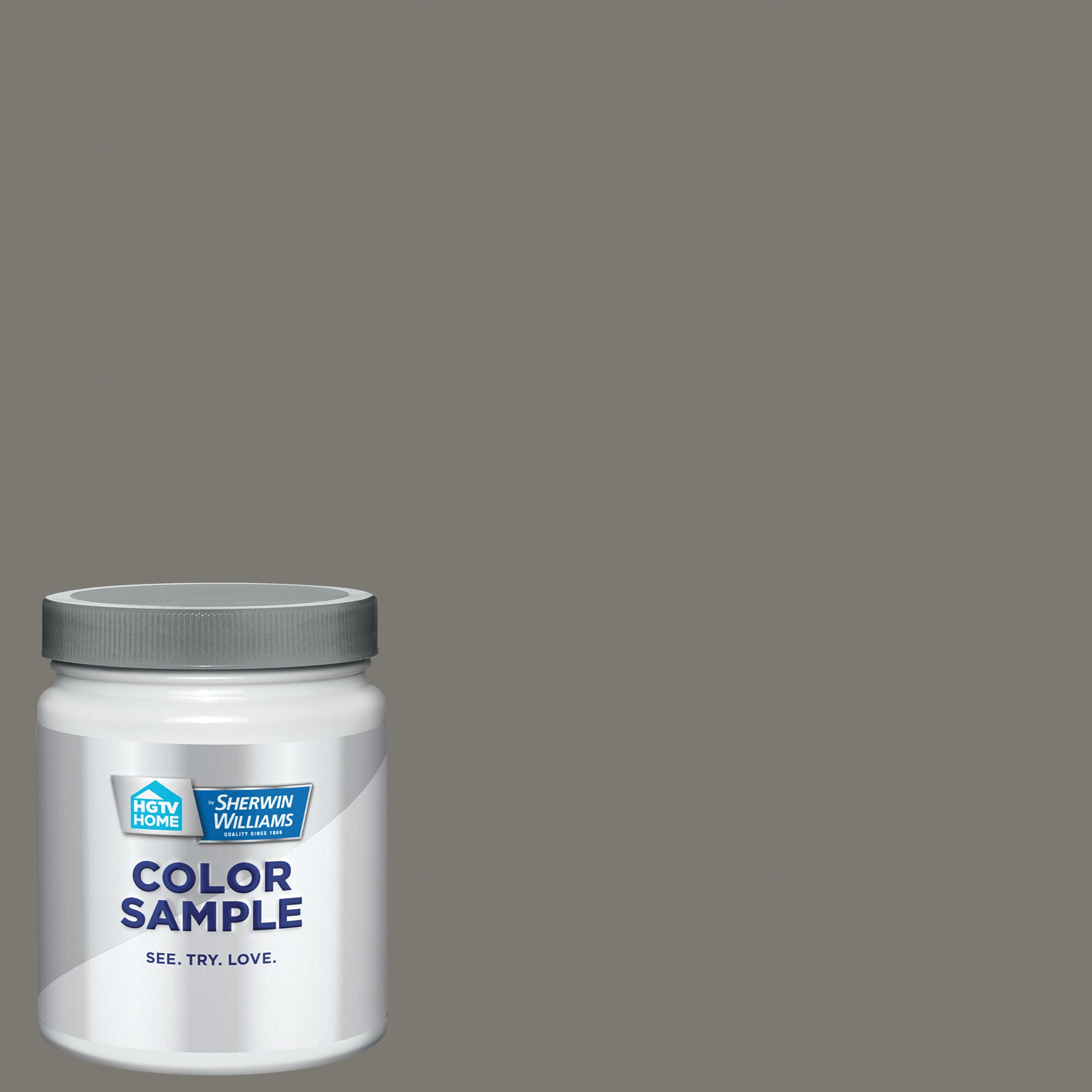 HGTV HOME by Sherwin-Williams Thunderclap HGSW1492 Paint Sample (Half ...