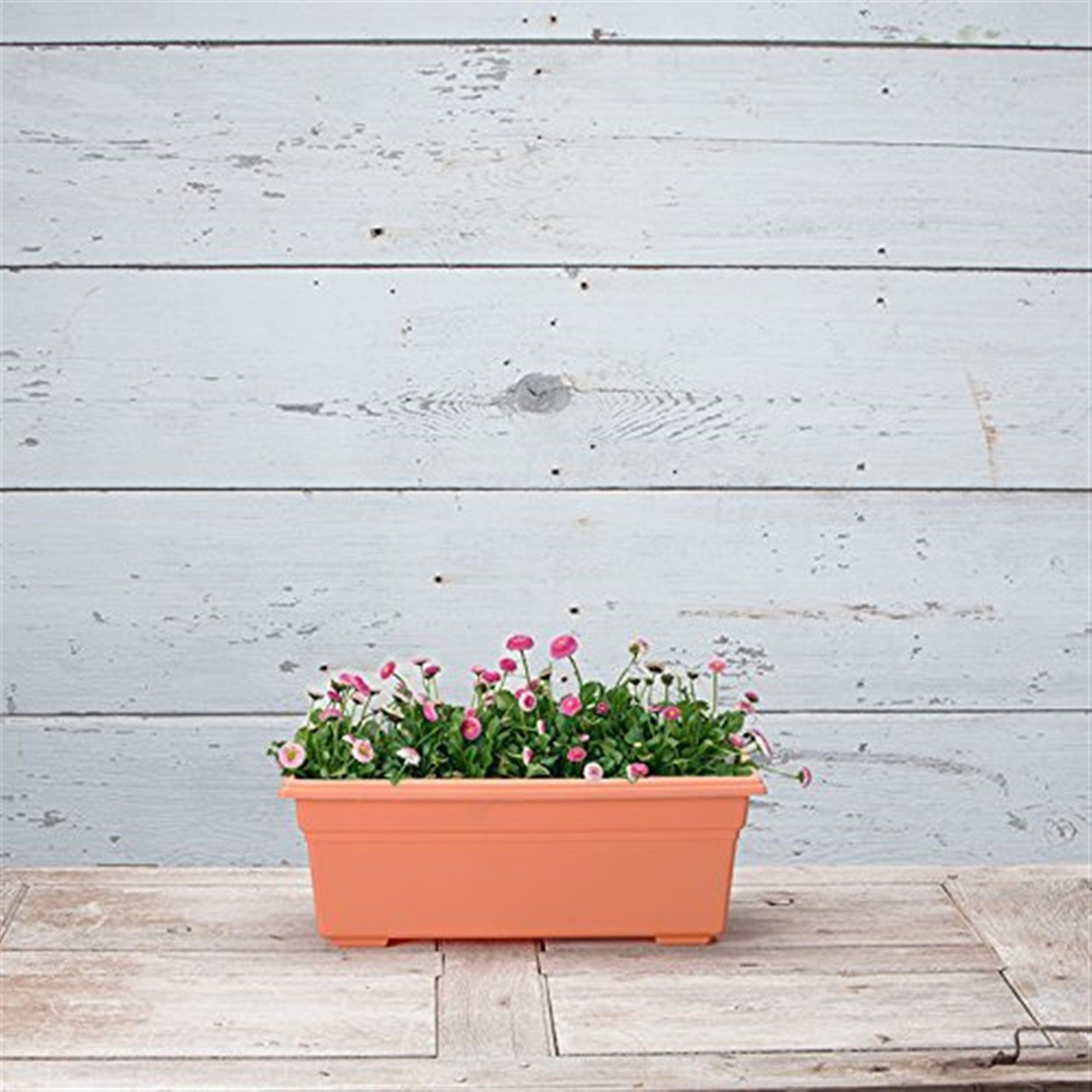 Novelty Manufacturing 026978161956 Planter-Window-Box - View #6
