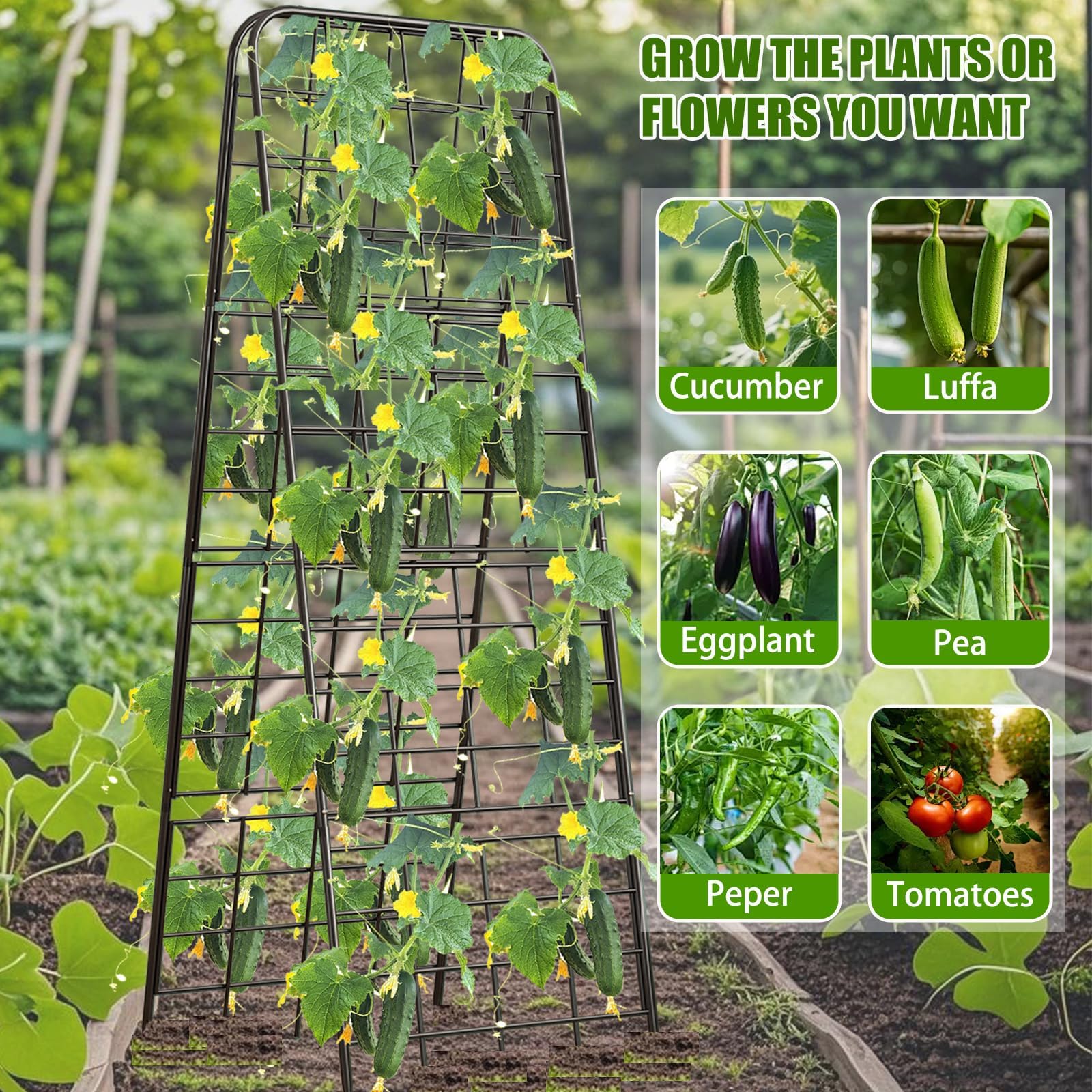 Afoxsos LAF0207G12 Garden-Trellis - View #7