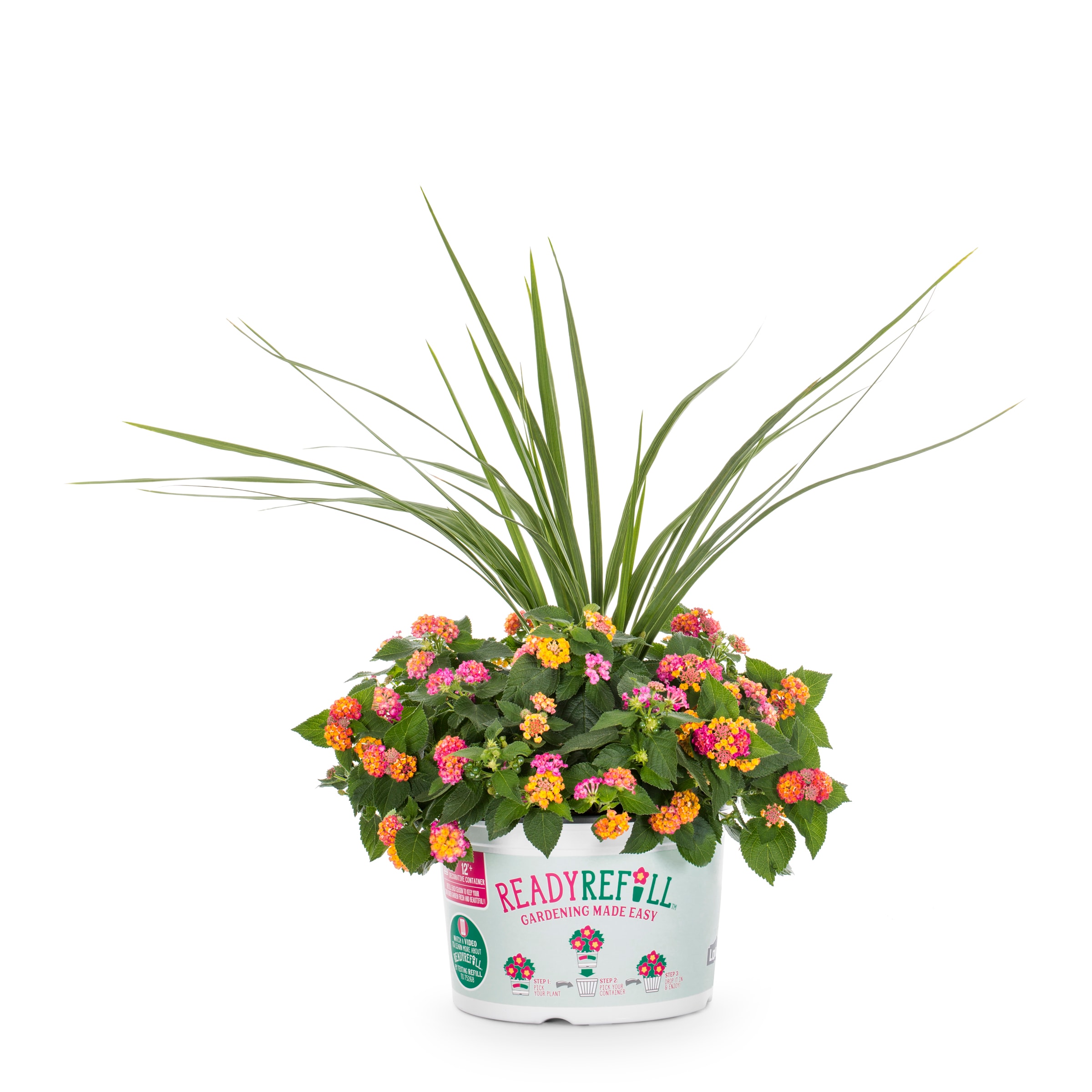 Ready Refill NURSERY annuals - View #3