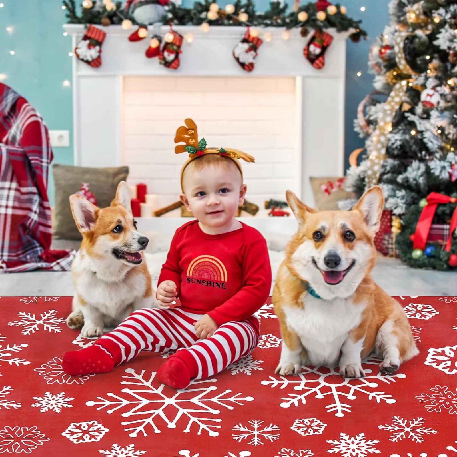 Qeetex SUNNY-PHO-15LWMVQ4 rugs - View #6