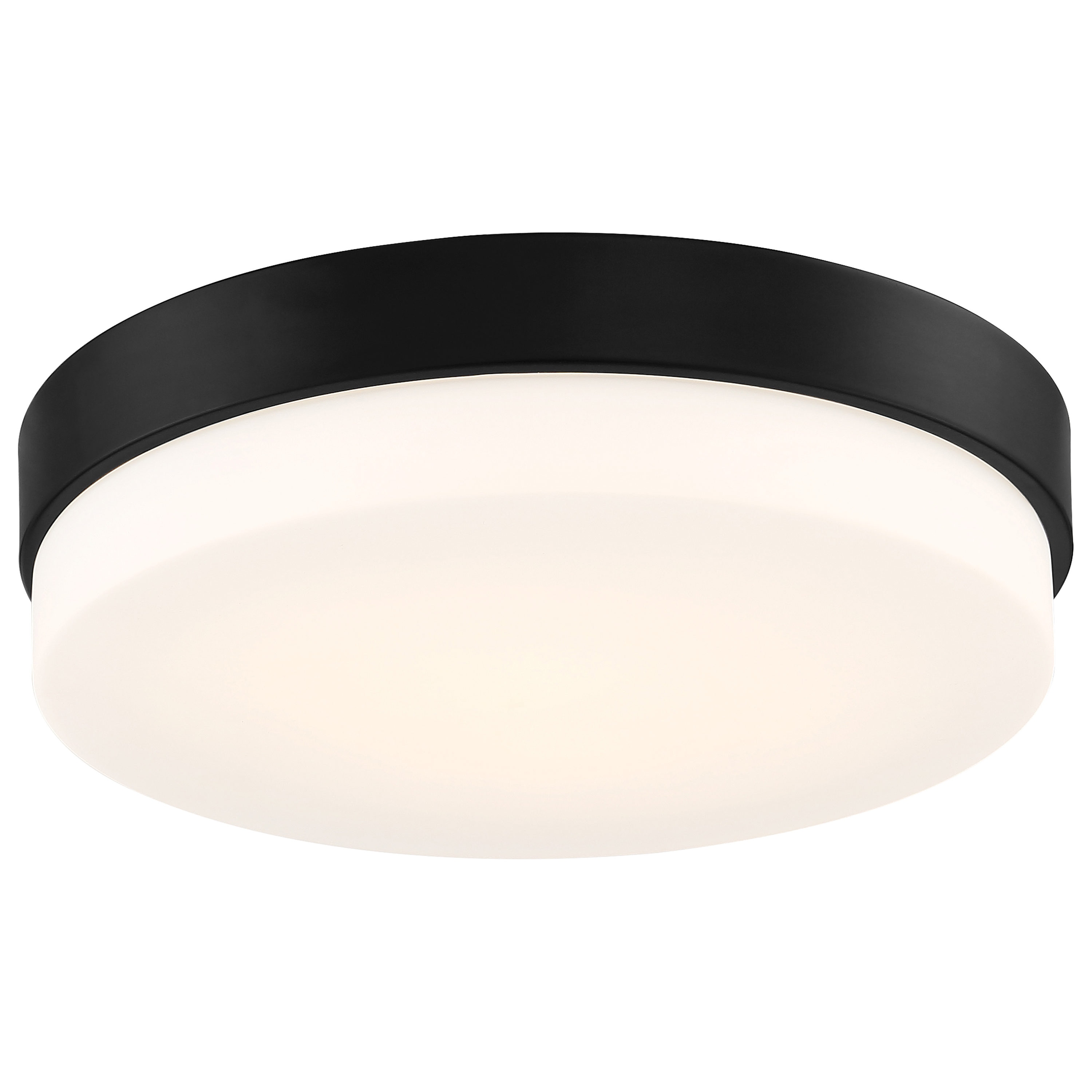Roma Matte Black and Opal Glass LED Flush Mount Light