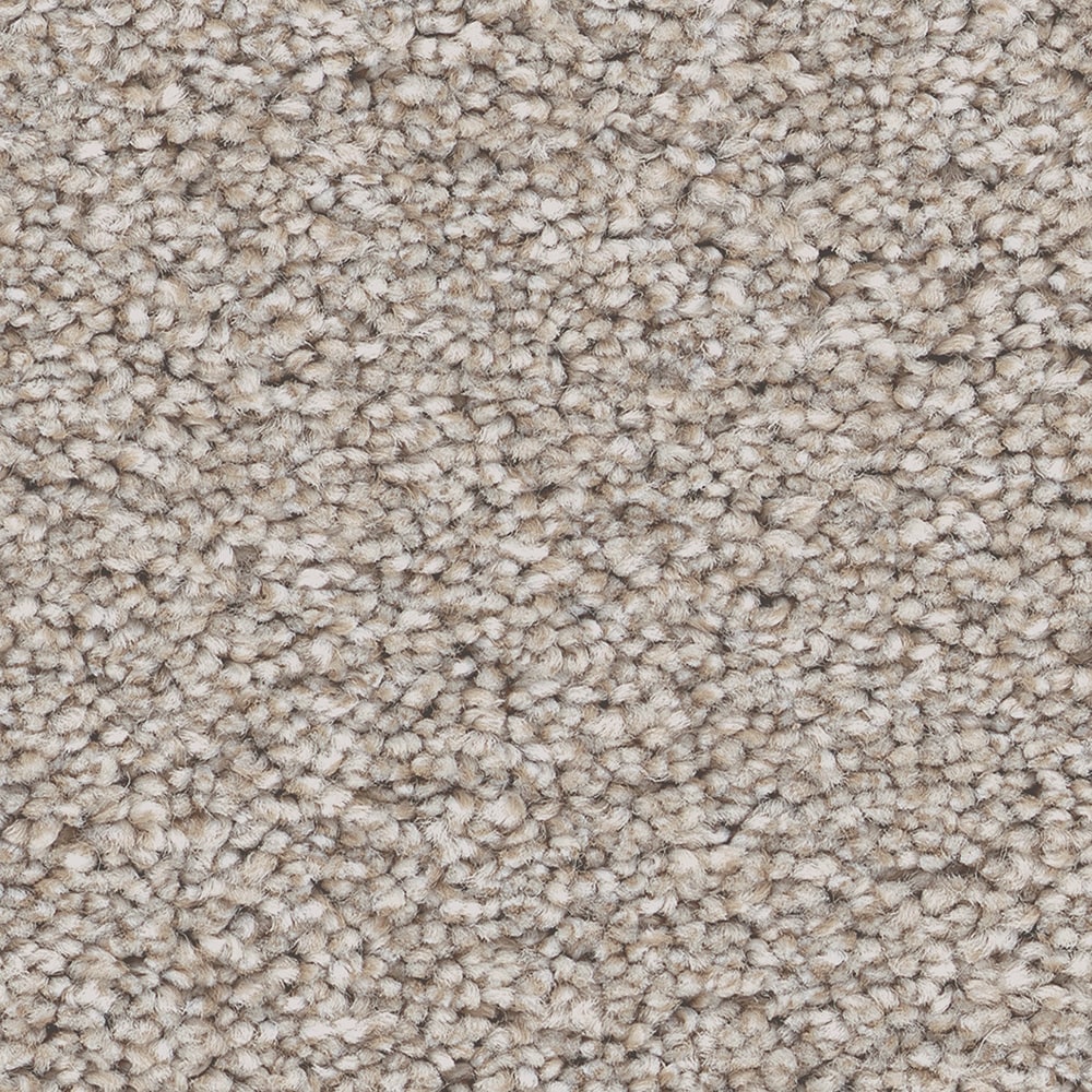 STAINMASTER 7L96300137 Marvel I 15 Silence Brown 48.8-oz sq yard Solution-dyed polyester Textured Indoor Carpet