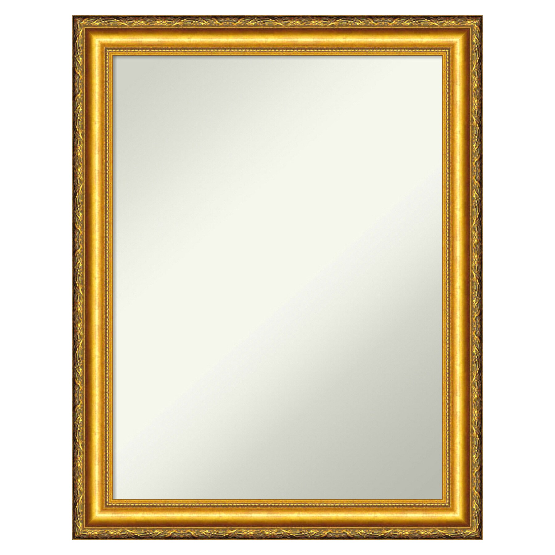 Amanti Art A17005546833 Colonial Embossed Gold Frame 21.5-Inches W x 27.75-Inches H Rectangle Colonial Embossed Gold Framed Wall Mirror