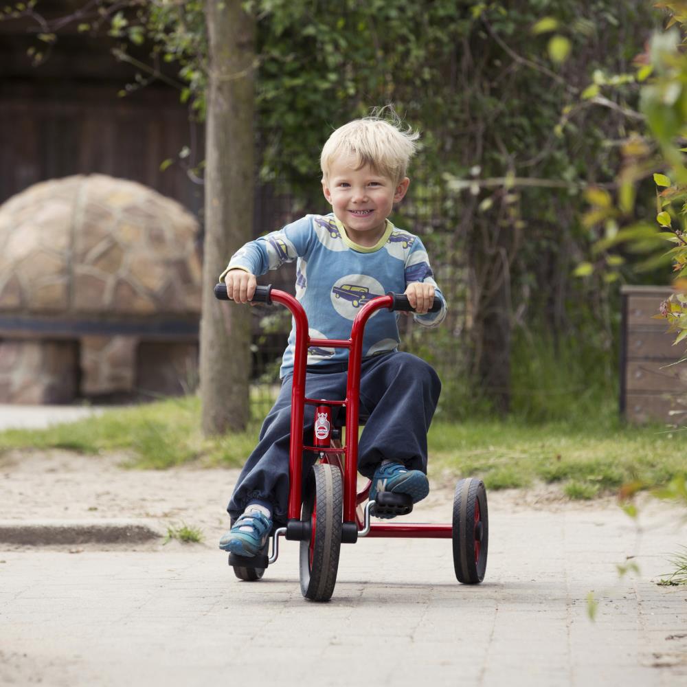 Winther 13-in Unisex Tricycle at Lowes.com