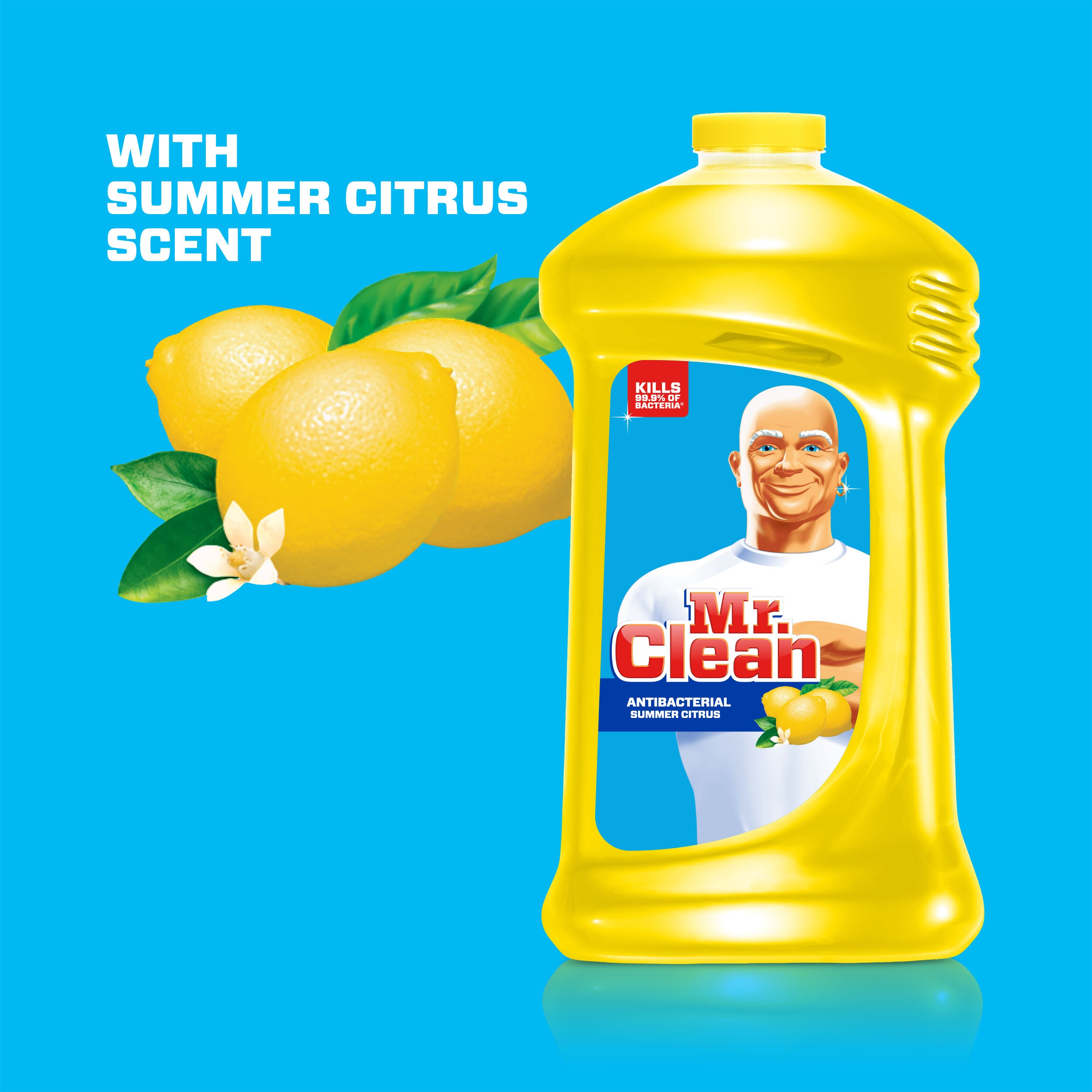  LANE'S Citrus Peel Cleaner, Citrus Cleaner, All